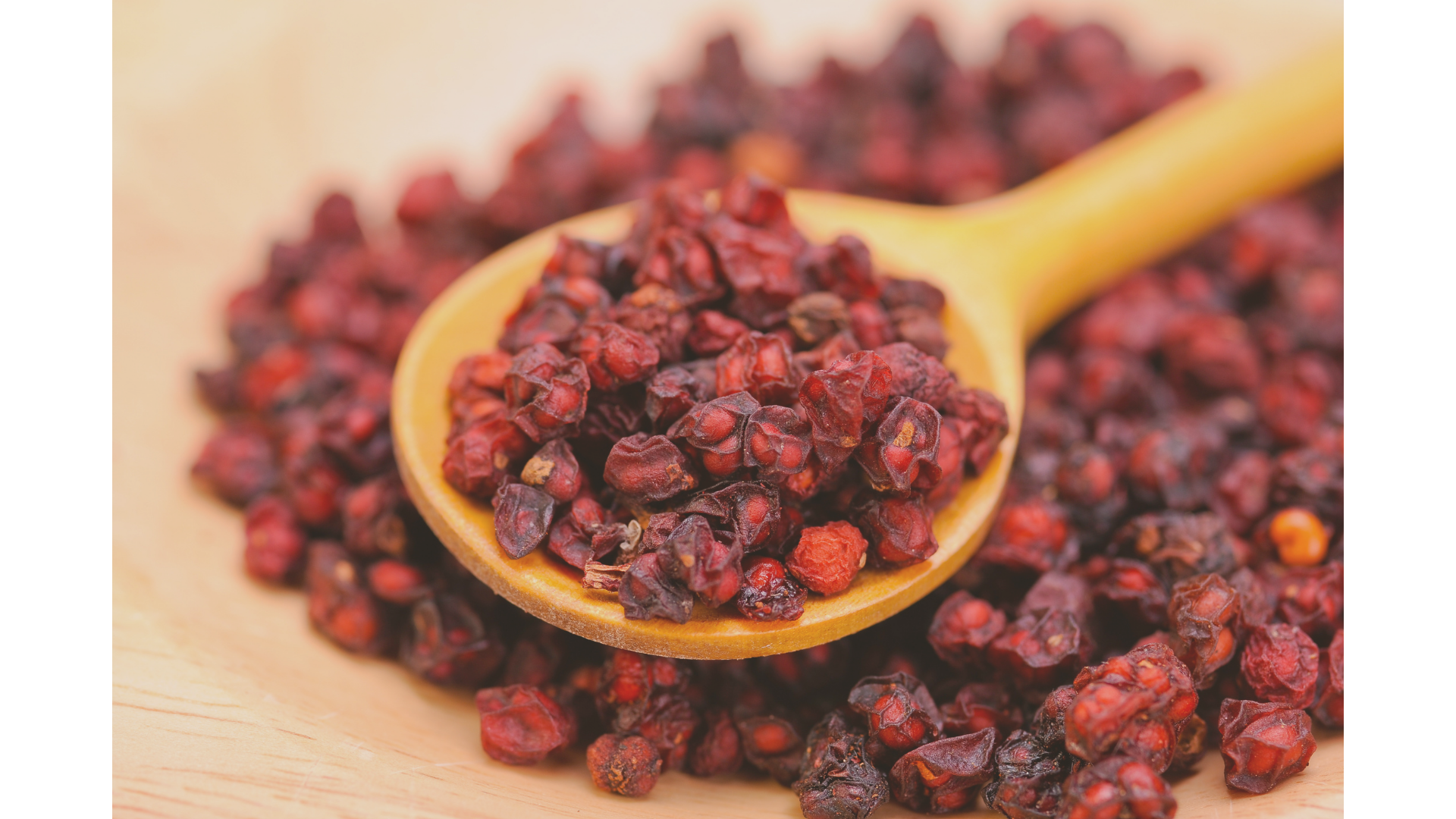 A wooden spoon full of Schisandra berries.