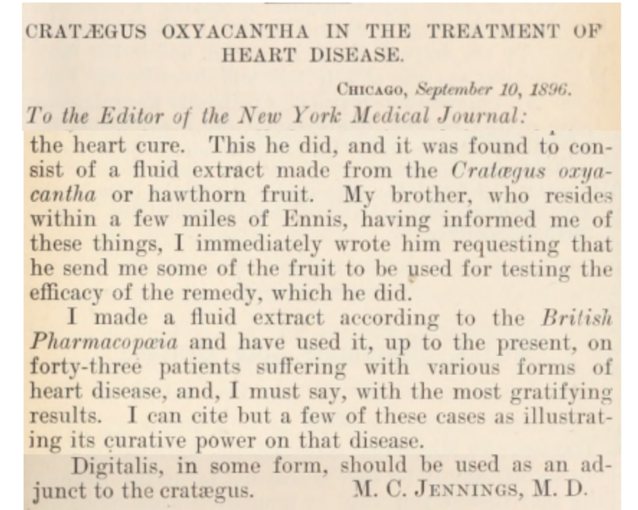 image from new york medical journal 1896 referencing hawthorn berry also known as crataegus oxyacantha in the treatment of heart disease by medical doctor jennings