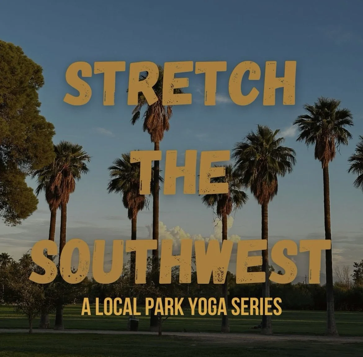 Yoga at Himmel Park