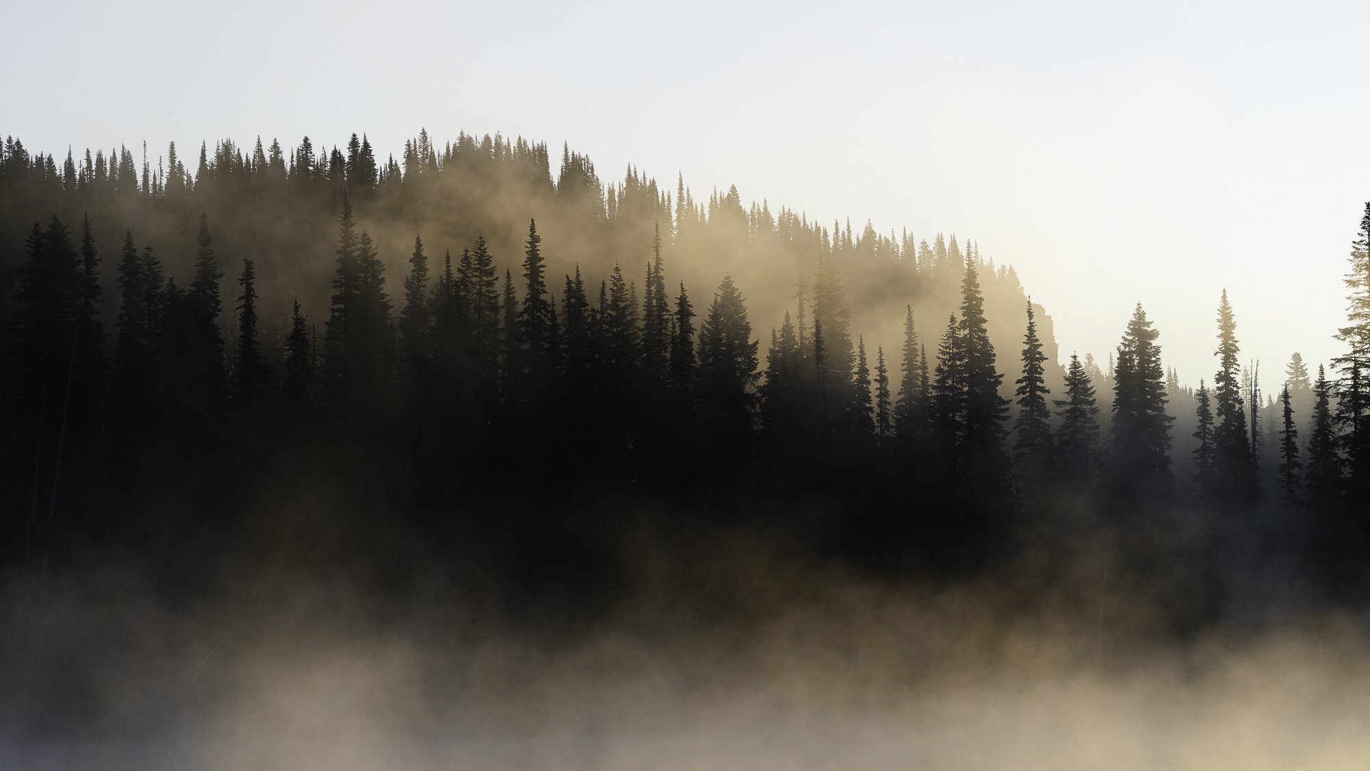 2021_RainierFog_DSC08614-2.jpg