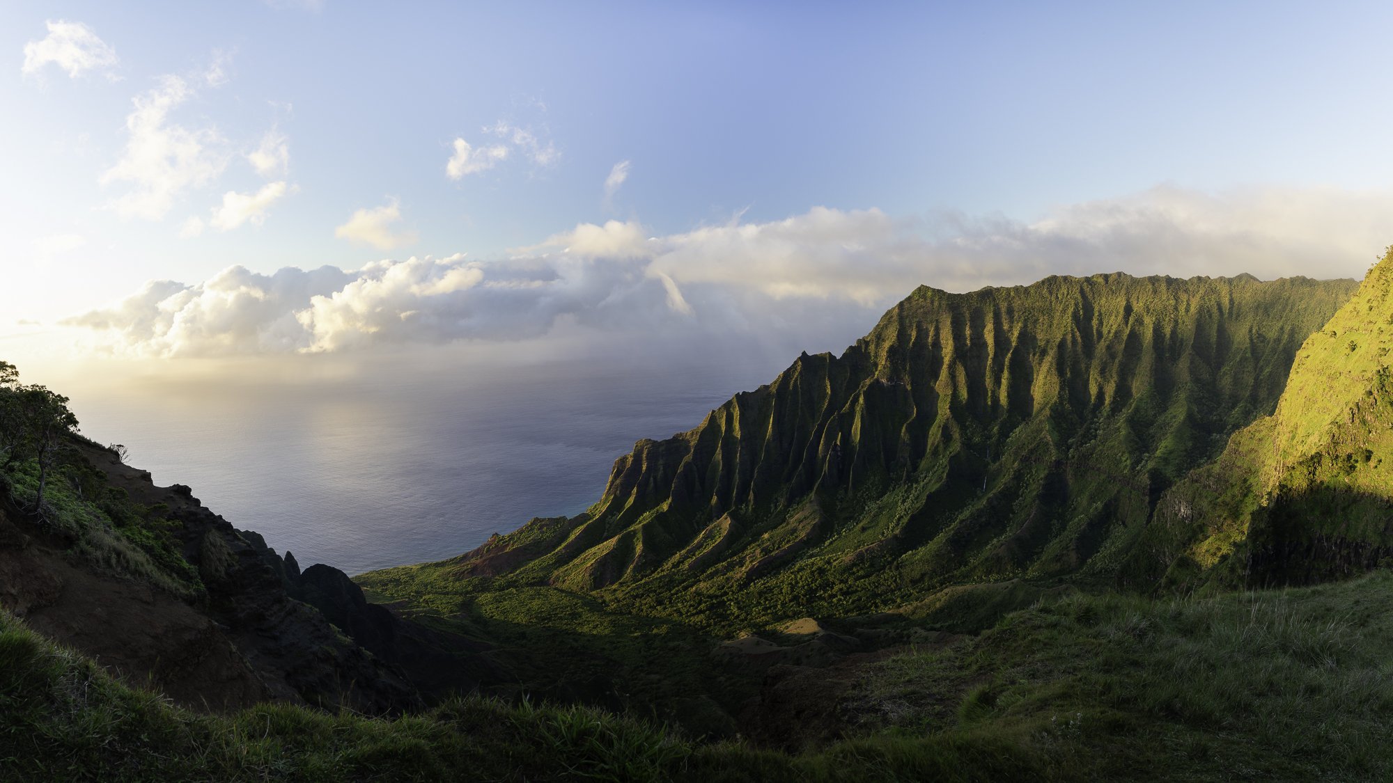 2019_Kokee__DSC7396-Pano.jpg