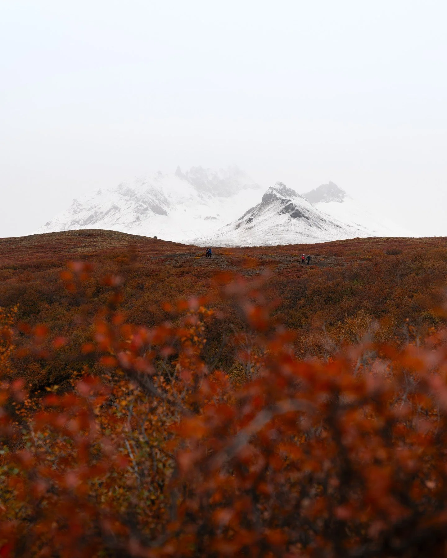 The color contrast is unreal. Literally steps away from our campsite.