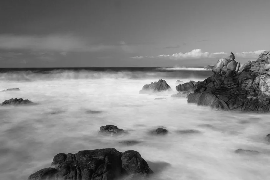 PCH B&W (1 of 1).jpg