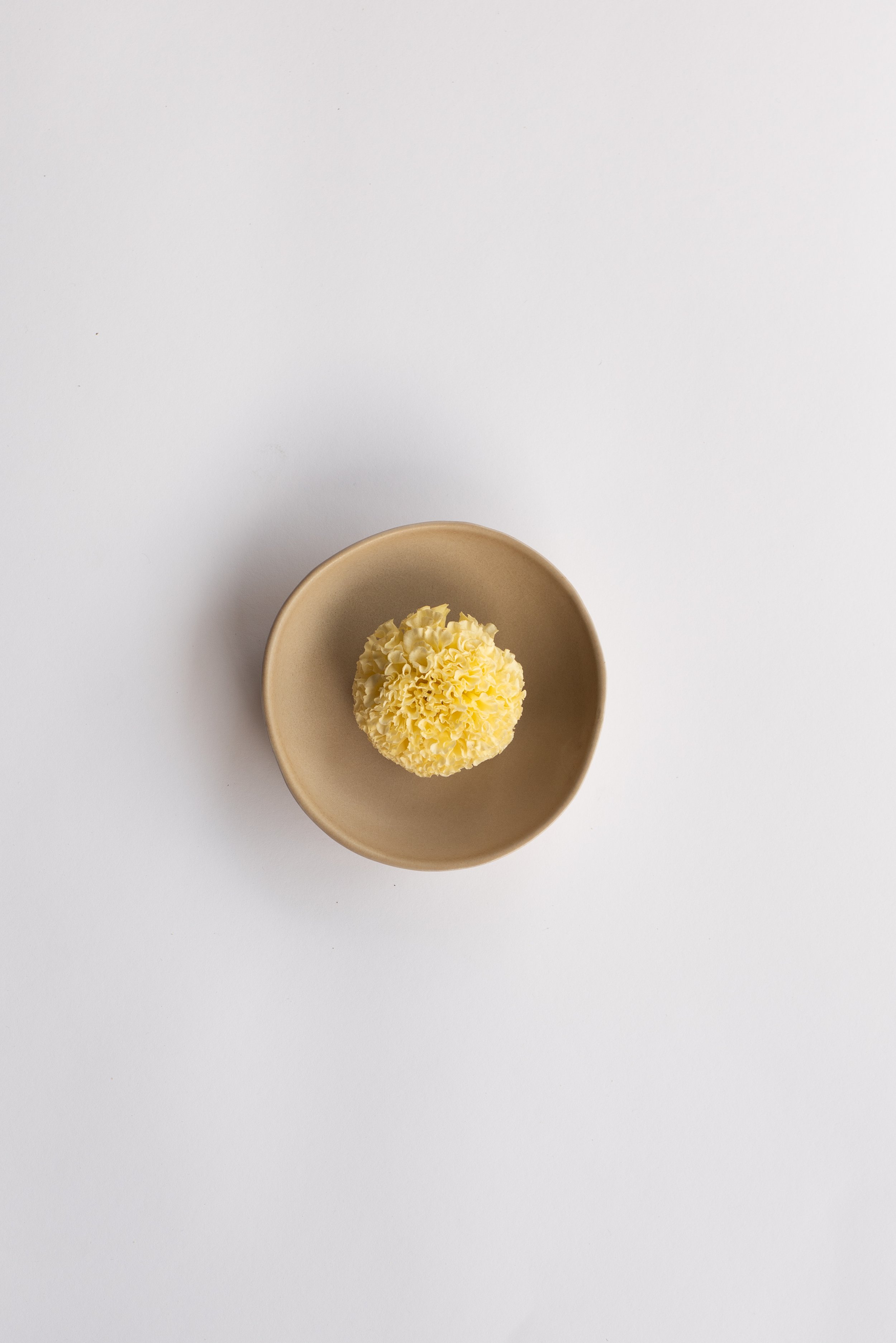 Little Dish 1