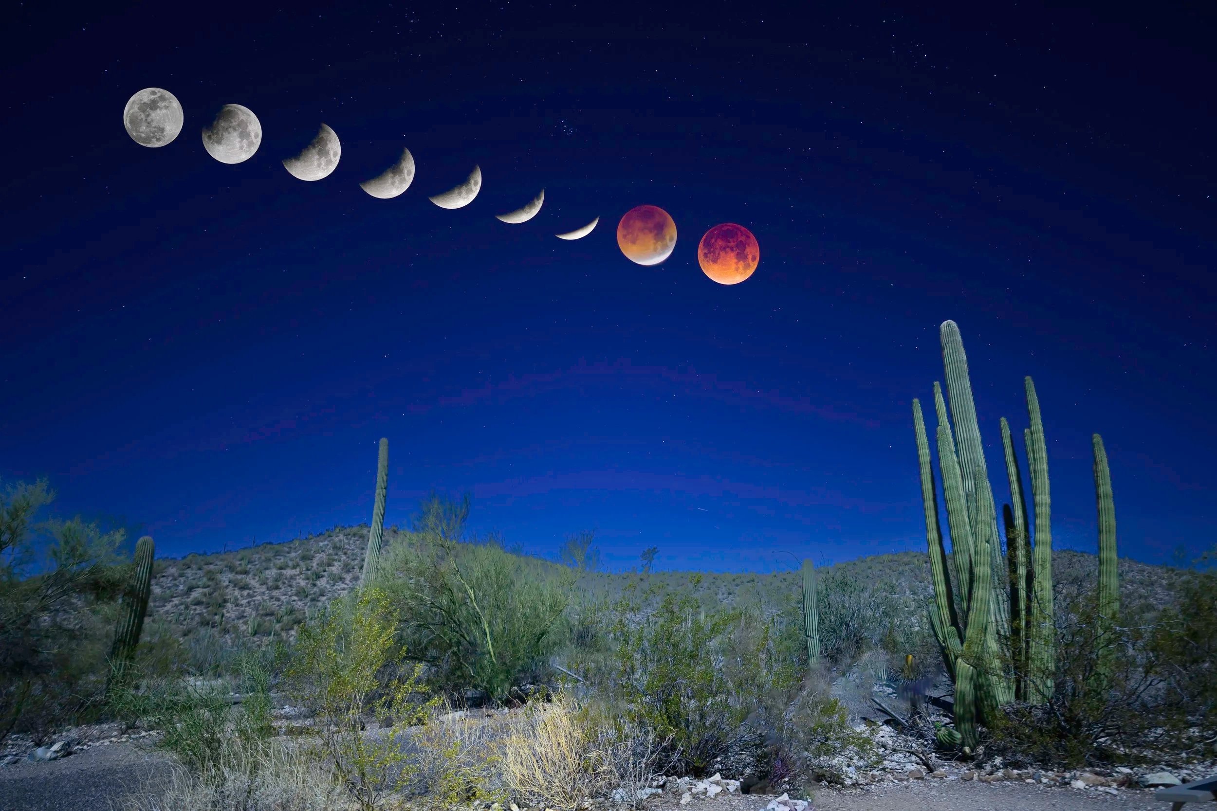 2026 Moon Eclipse over Organ Pipe Cactus National Monument