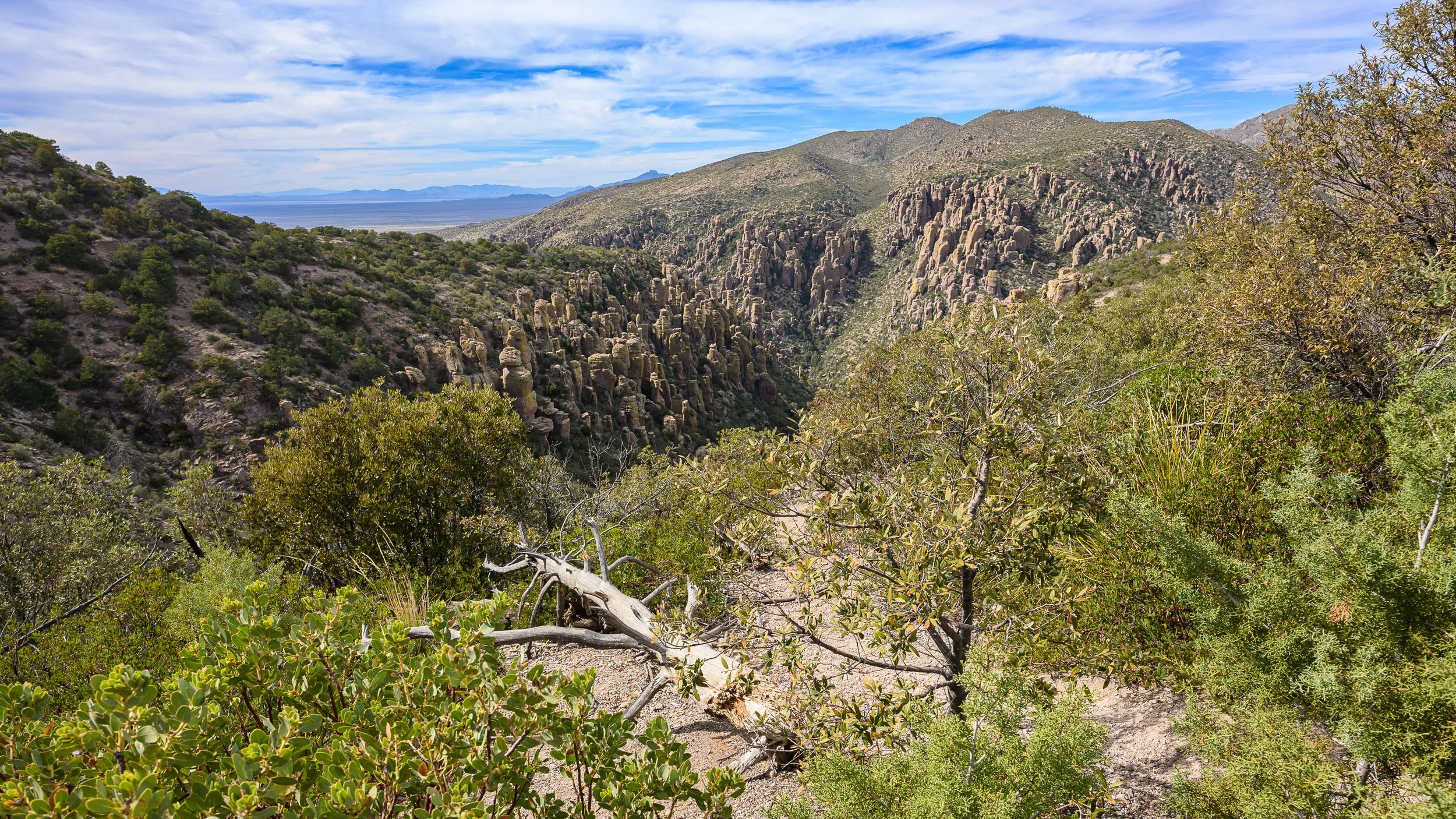 Chiricahua National Monument