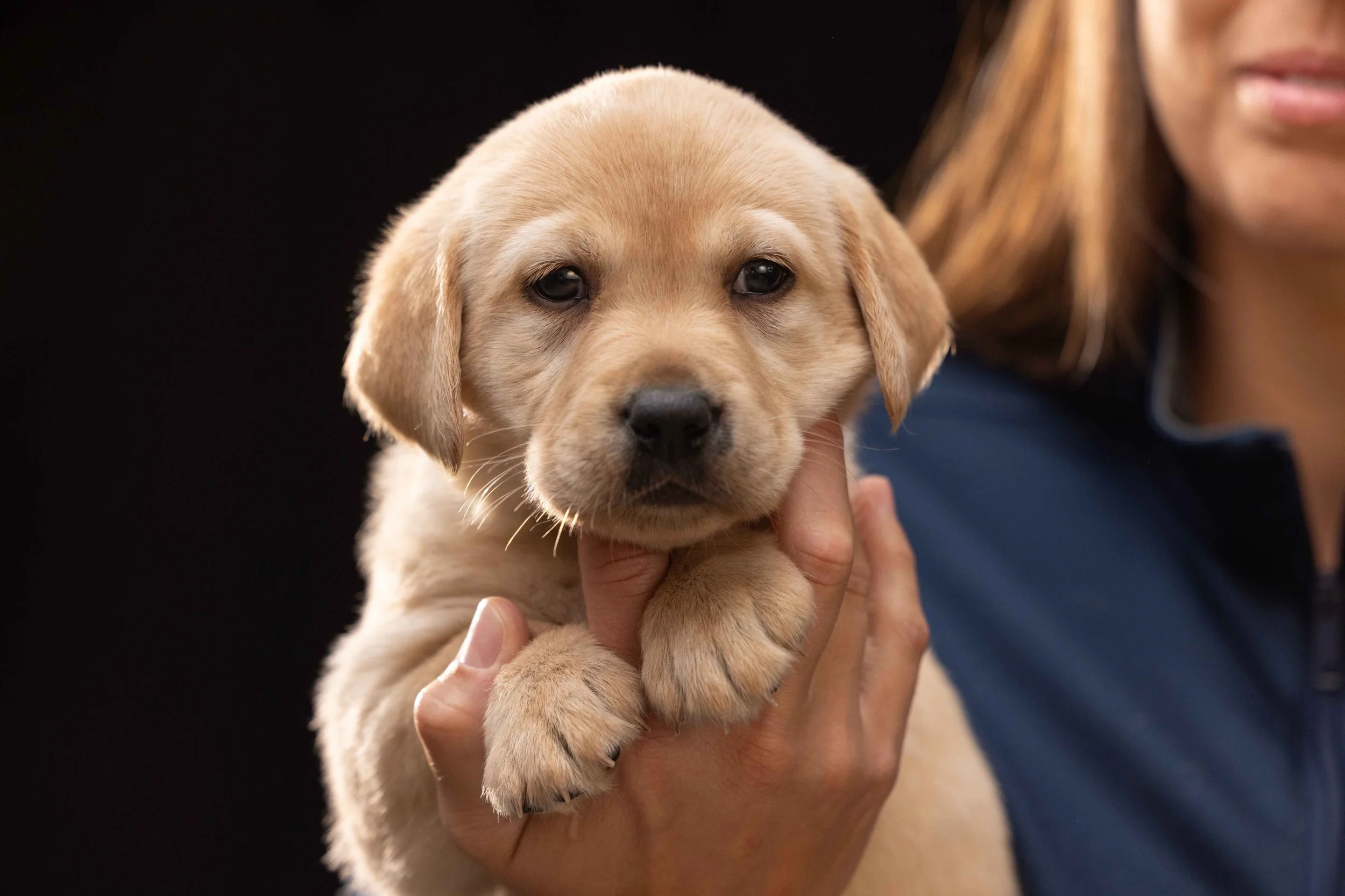 Every Alabama student deserves a safe place to learn. 💙 

Through the Alabama School Detection Dog Initiative, the Back the Blue Foundation is investing in early prevention, strengthening community trust, and stopping credible threats before they ev