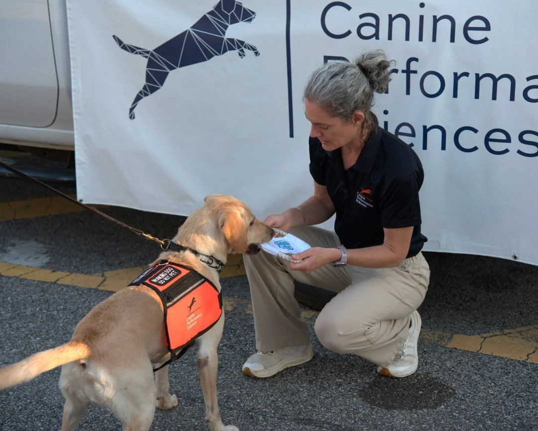 Last weekend we had a blast riding in the Auburn University Homecoming Parade with the Canine Performance Services! The detection dogs were highlighted and we handed out signature BTB dog toys.

Sister Sally, an Auburn University Dog in the CPS
Progr