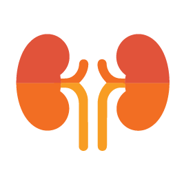 cystinosis-united_assets_kidneys icon.png