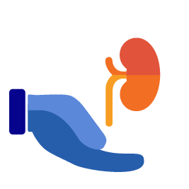 cystinosis-united_assets_transplant illustration.png