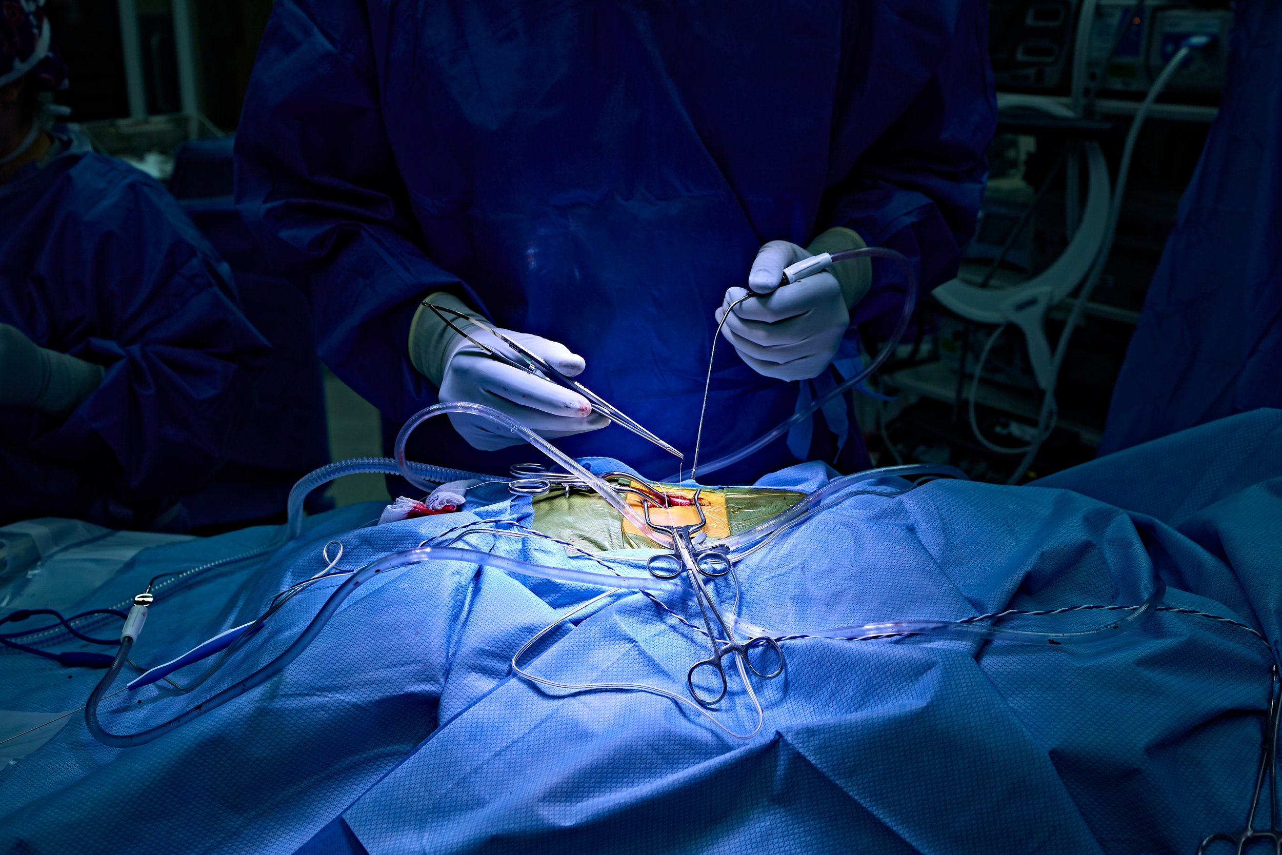 ewc_CHOPNeuro(2)092023_ 192_.jpg