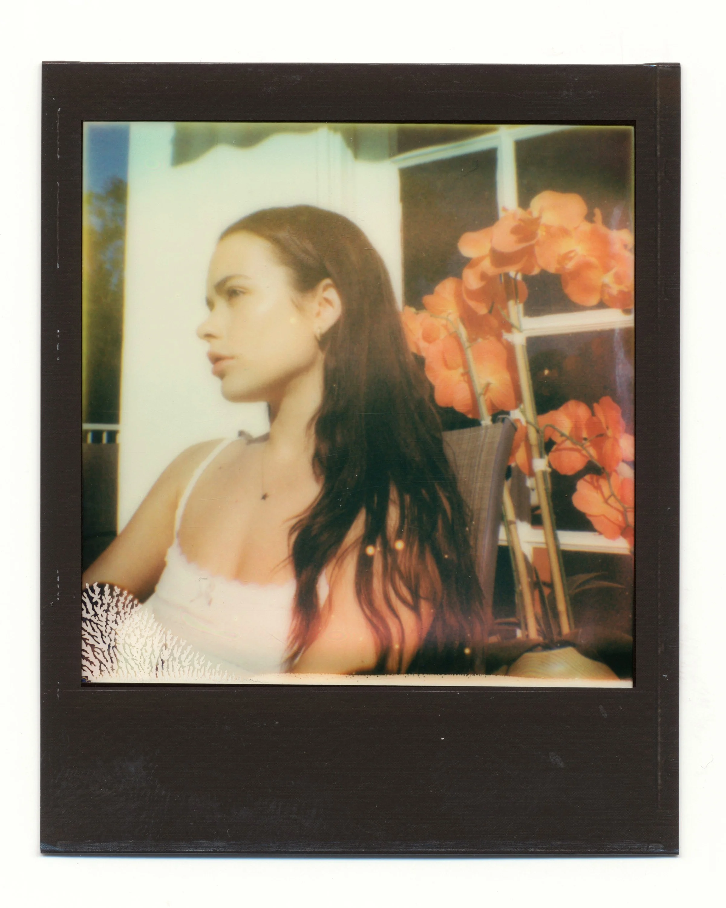 LA0019.jpg