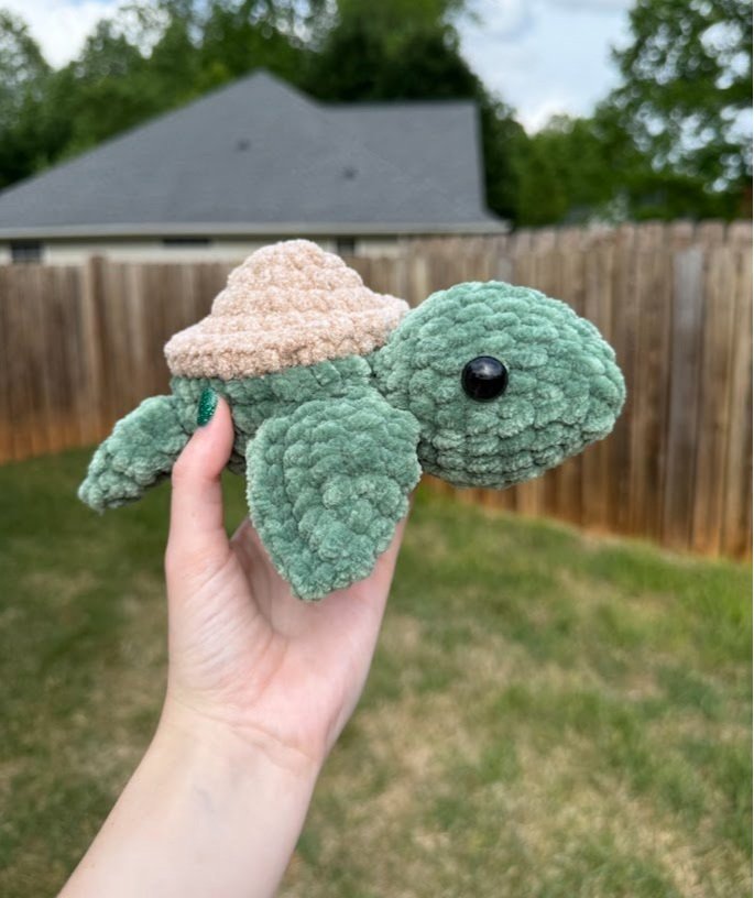 turtle3.jpg