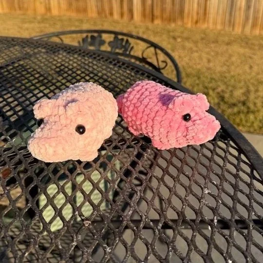 pigs.jpg