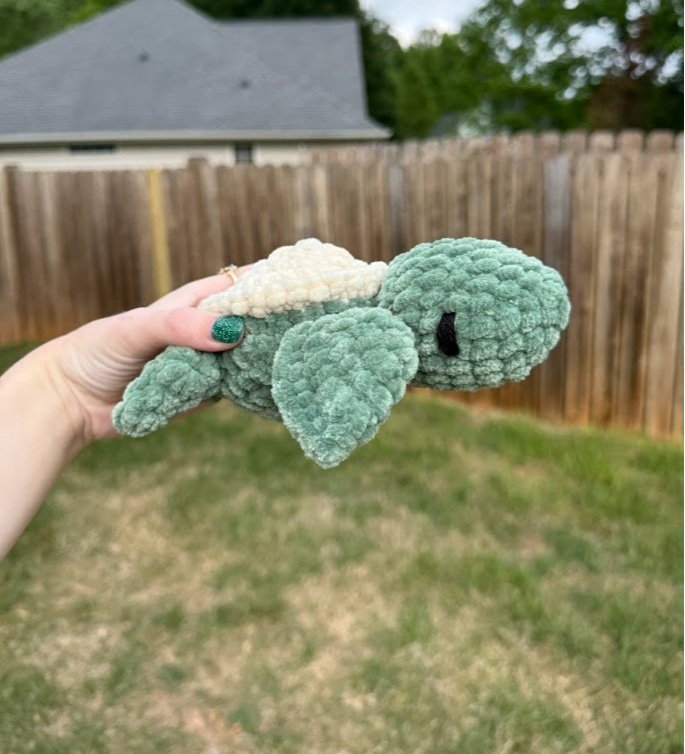 turtle1.jpg