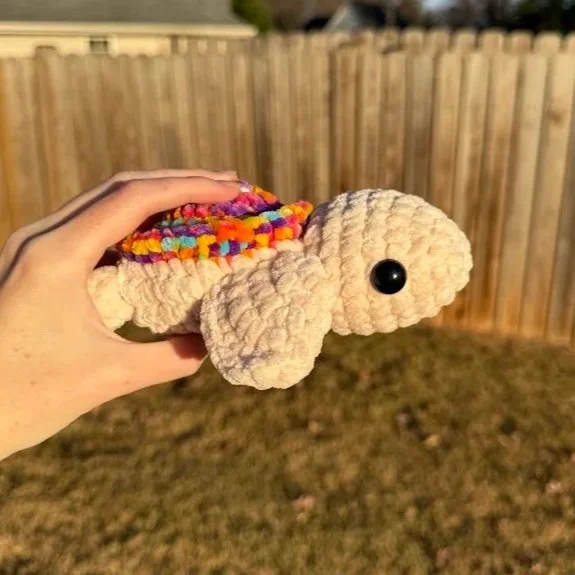 rainbow.jpg