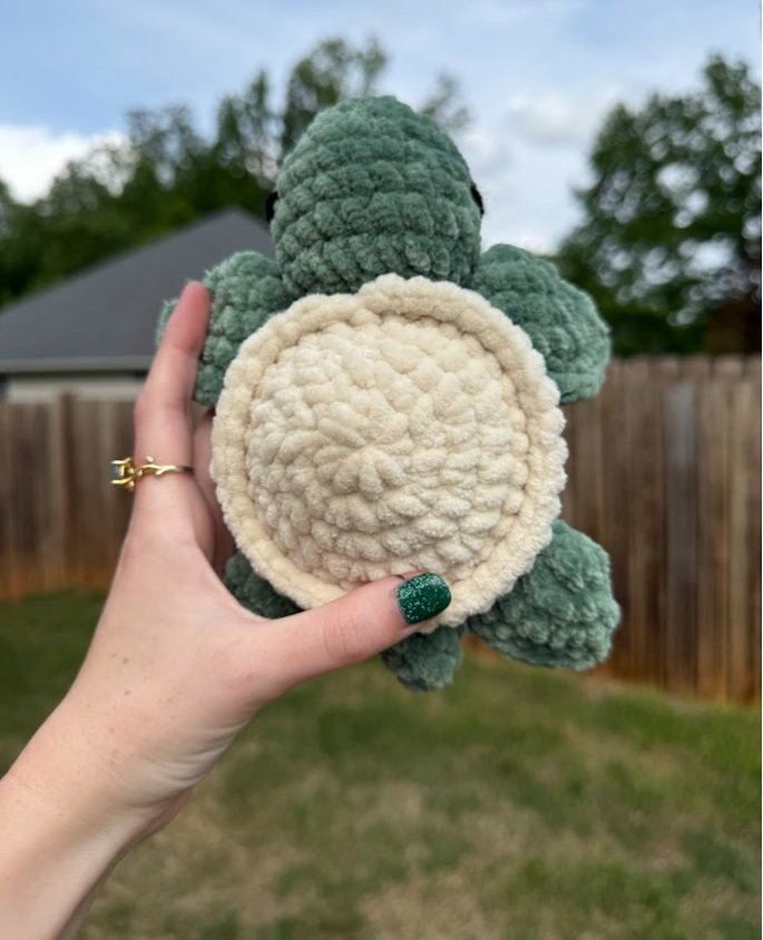 turtle2.jpg