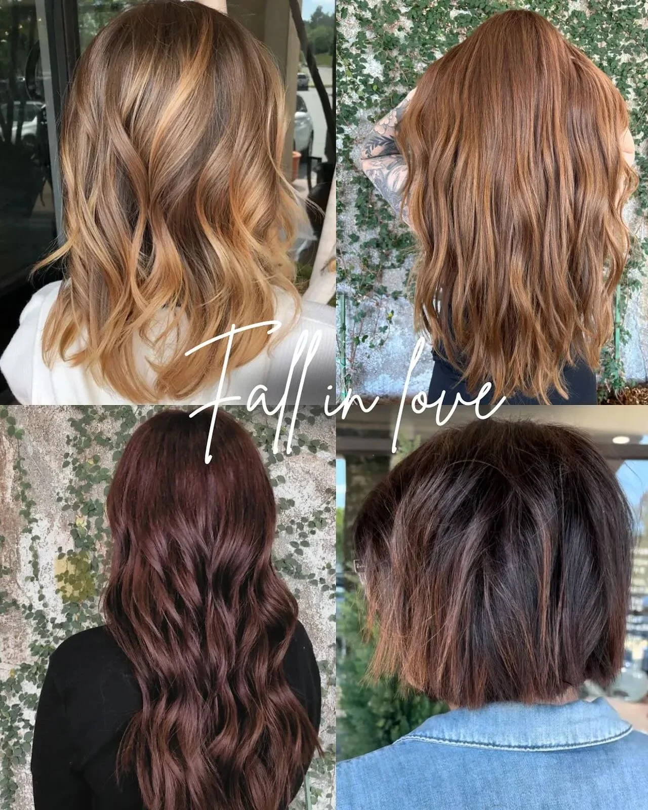 Fall in love with your hair this season 🍂&nbsp;🍁&nbsp;🍯🧸&nbsp; 

We are living for these rich, warm n cozy colors. Book your fall appointments now! 

916-987-1995

#fallhair #folsomhair #hairsalon #916hair #530hair #hoshallsfolsom