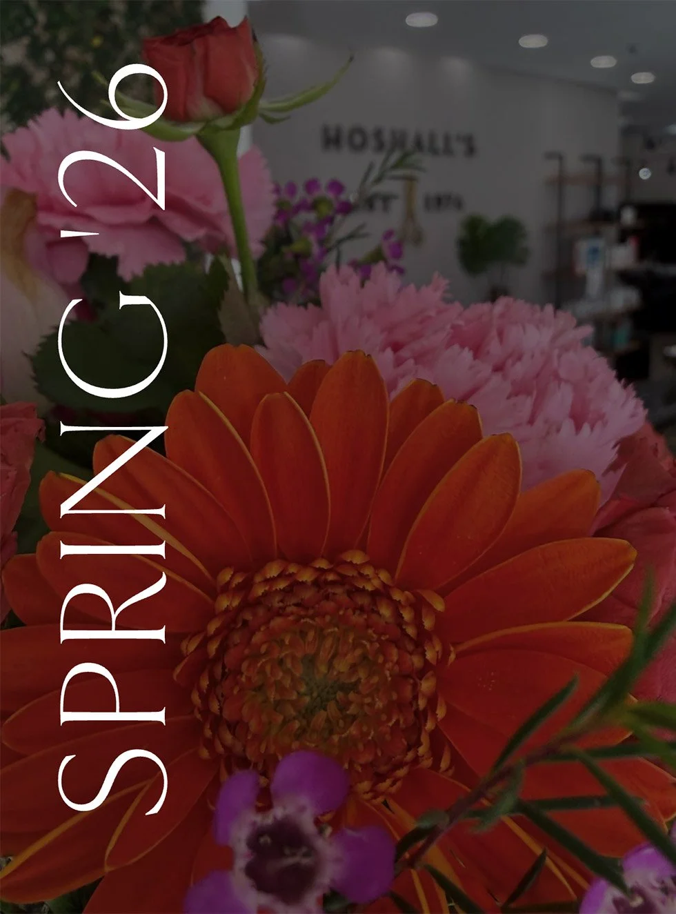 Newsletter: Spring ‘26