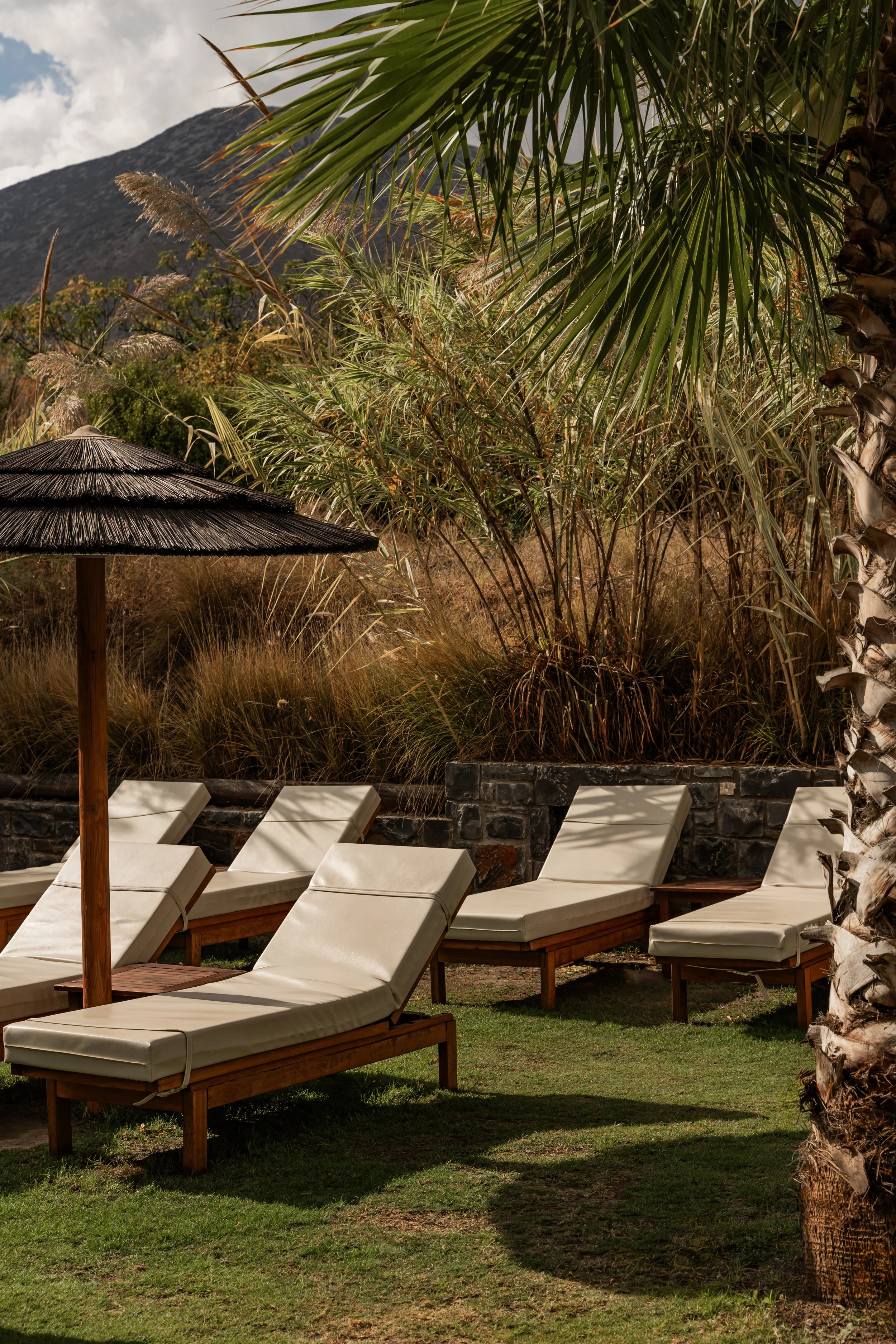 Poolside scene with wooden lounge chairs with white cushions, poolside umbrella, tall palm tree, dense shrubbery, and mountain in the background under a cloudy sky.