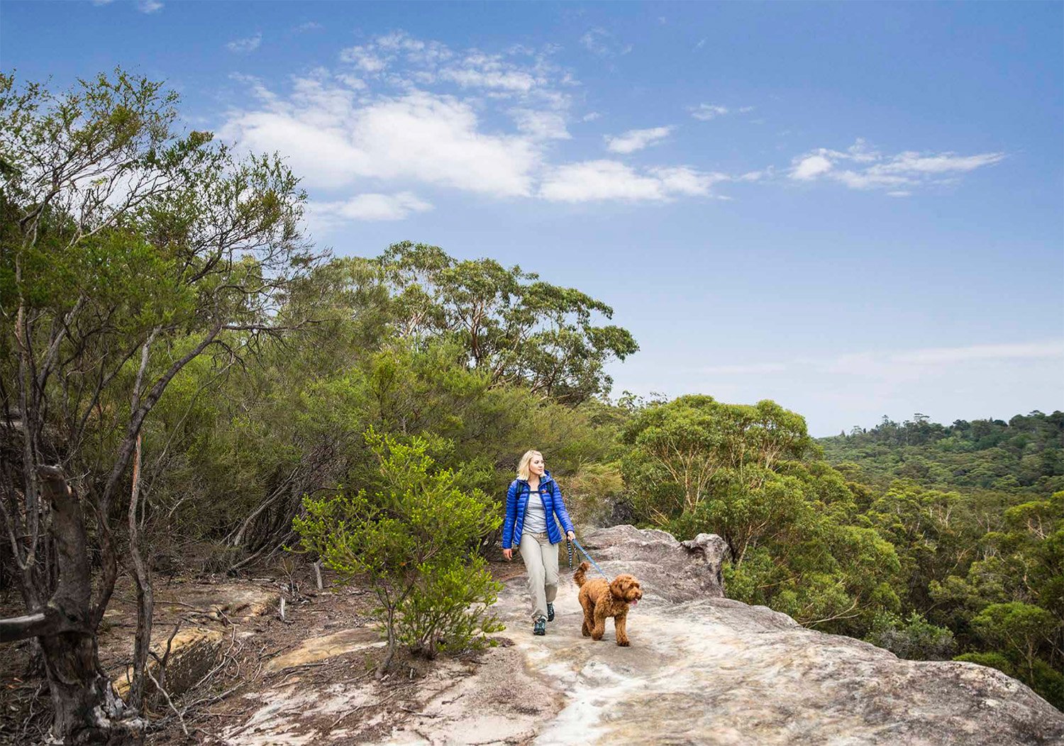 Screen Shot 2022-08-12 at 11.45.52 am.jpg