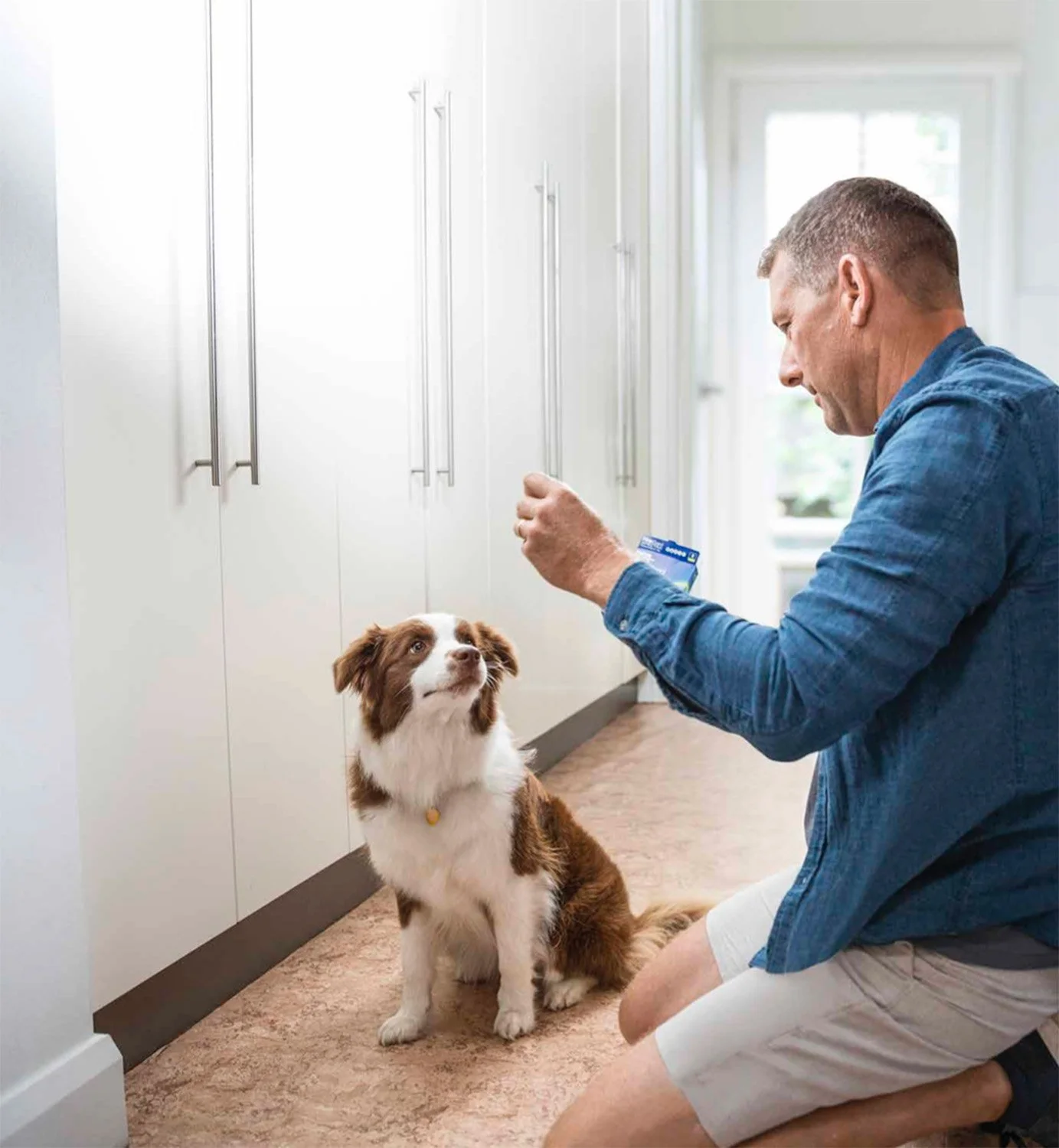 Screen Shot 2022-08-12 at 11.46.19 am.jpg