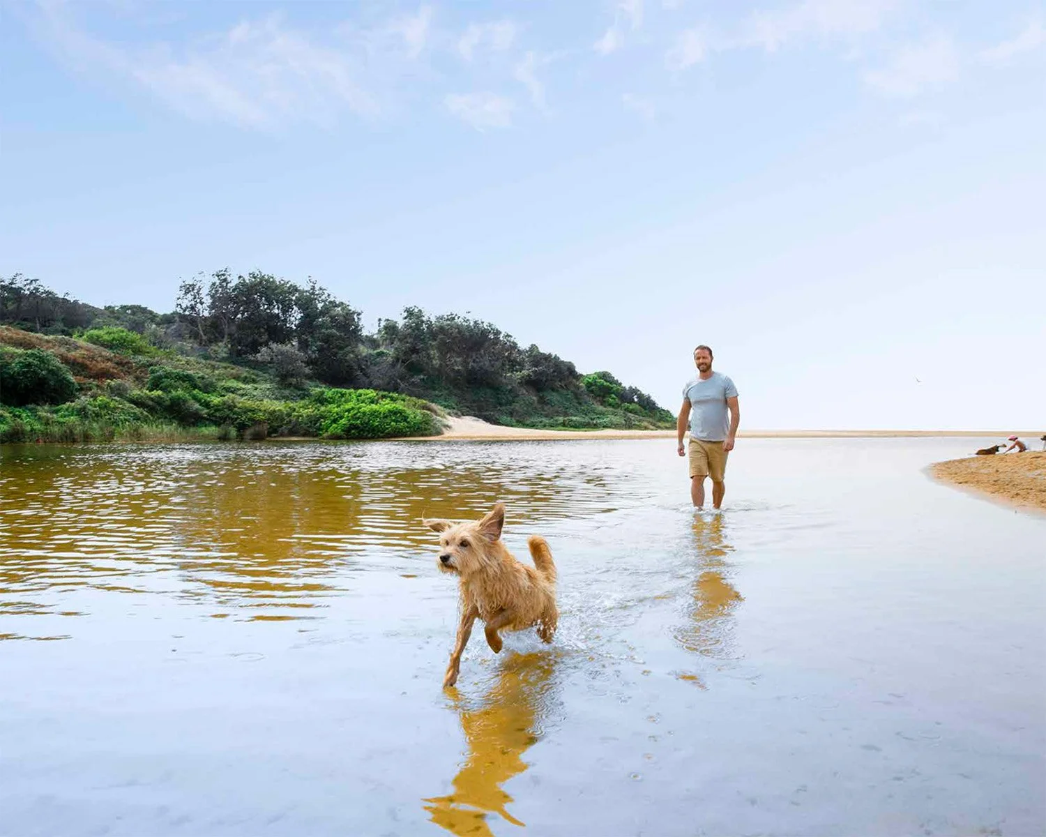 Screen Shot 2022-08-12 at 11.45.04 am.jpg