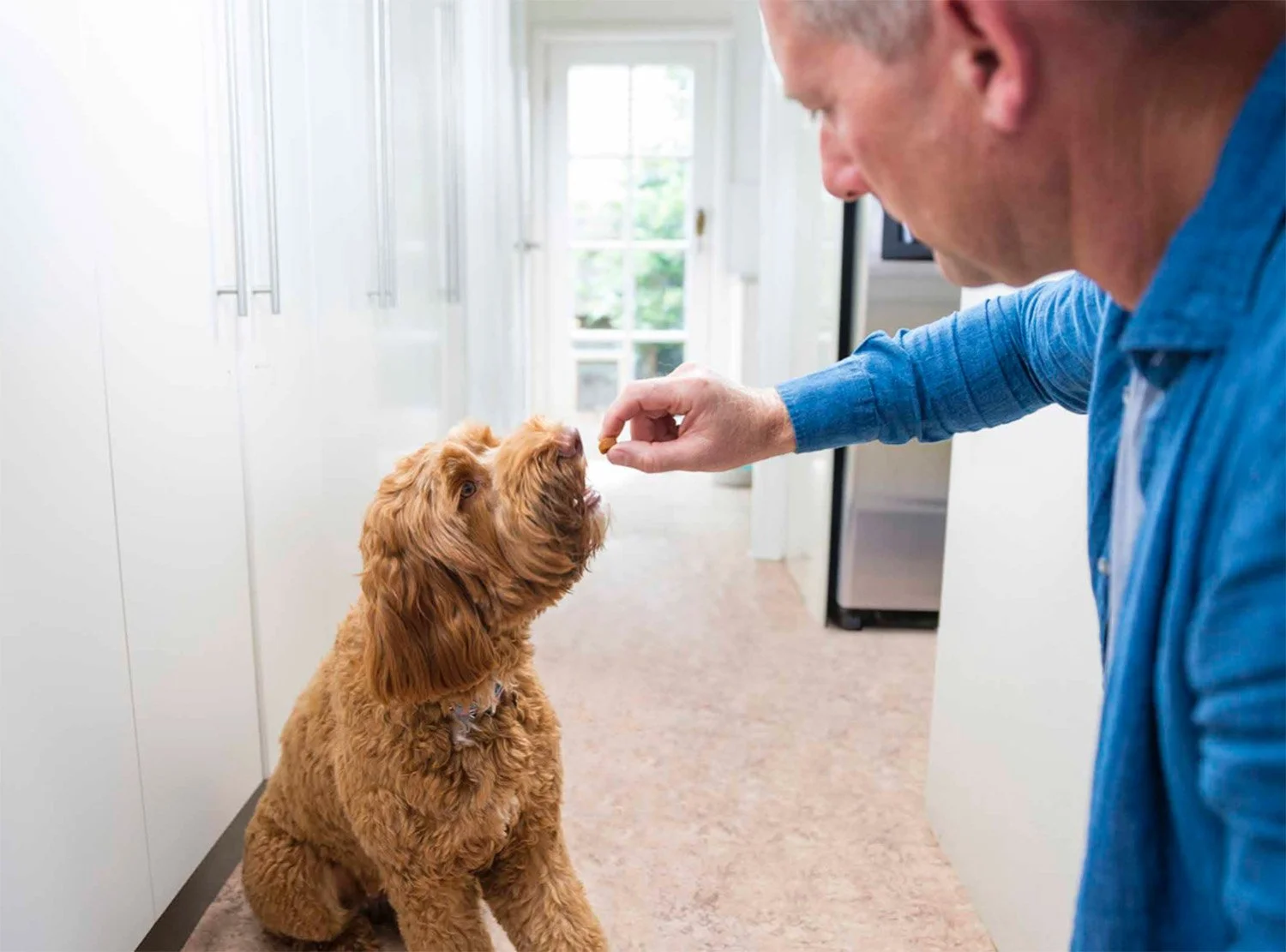 Screen Shot 2022-08-12 at 11.45.40 am.jpg