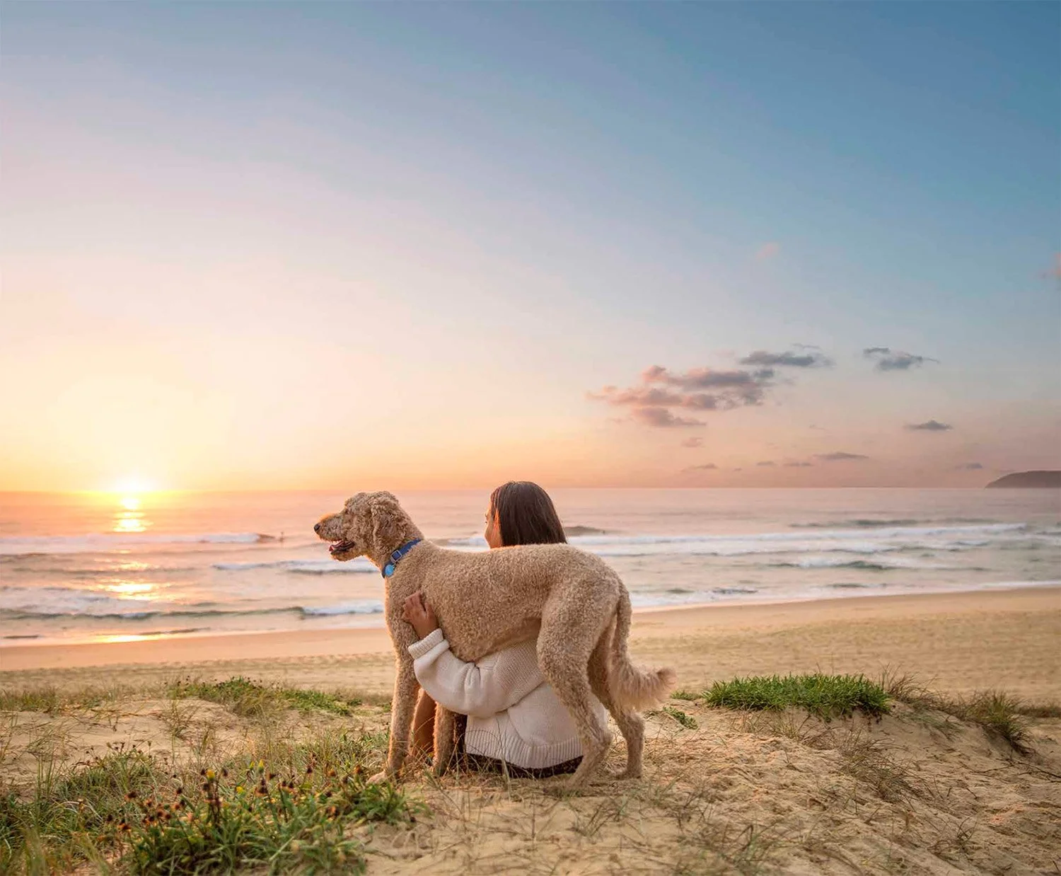 Screen Shot 2022-08-12 at 11.44.31 am.jpg