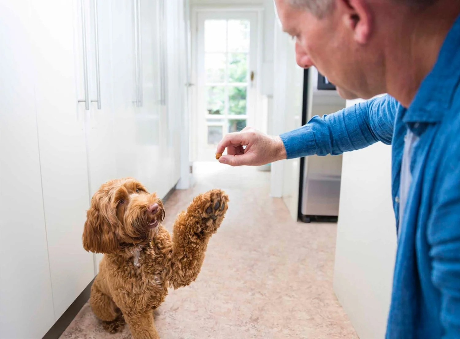 Screen Shot 2022-08-12 at 11.45.35 am.jpg