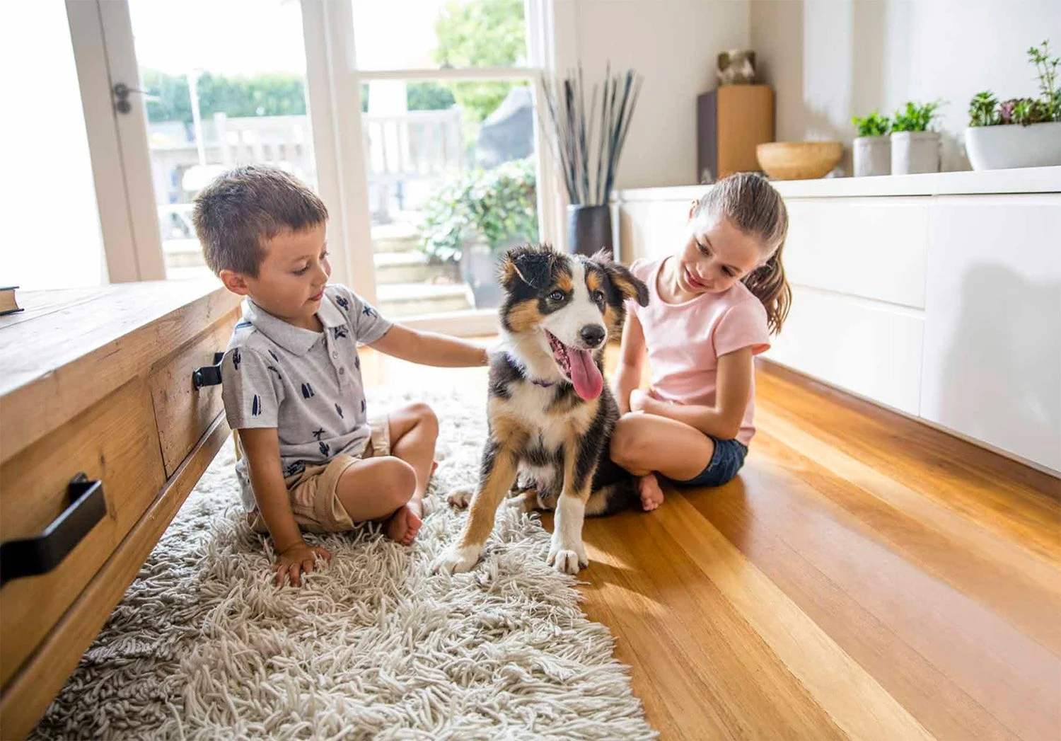 Screen Shot 2022-08-12 at 11.45.46 am.jpg