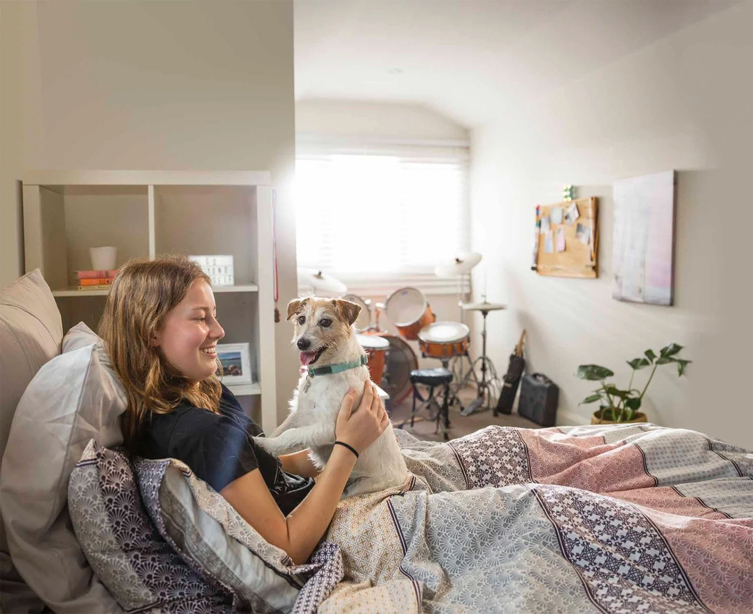 Screen Shot 2022-08-12 at 11.44.58 am.jpg