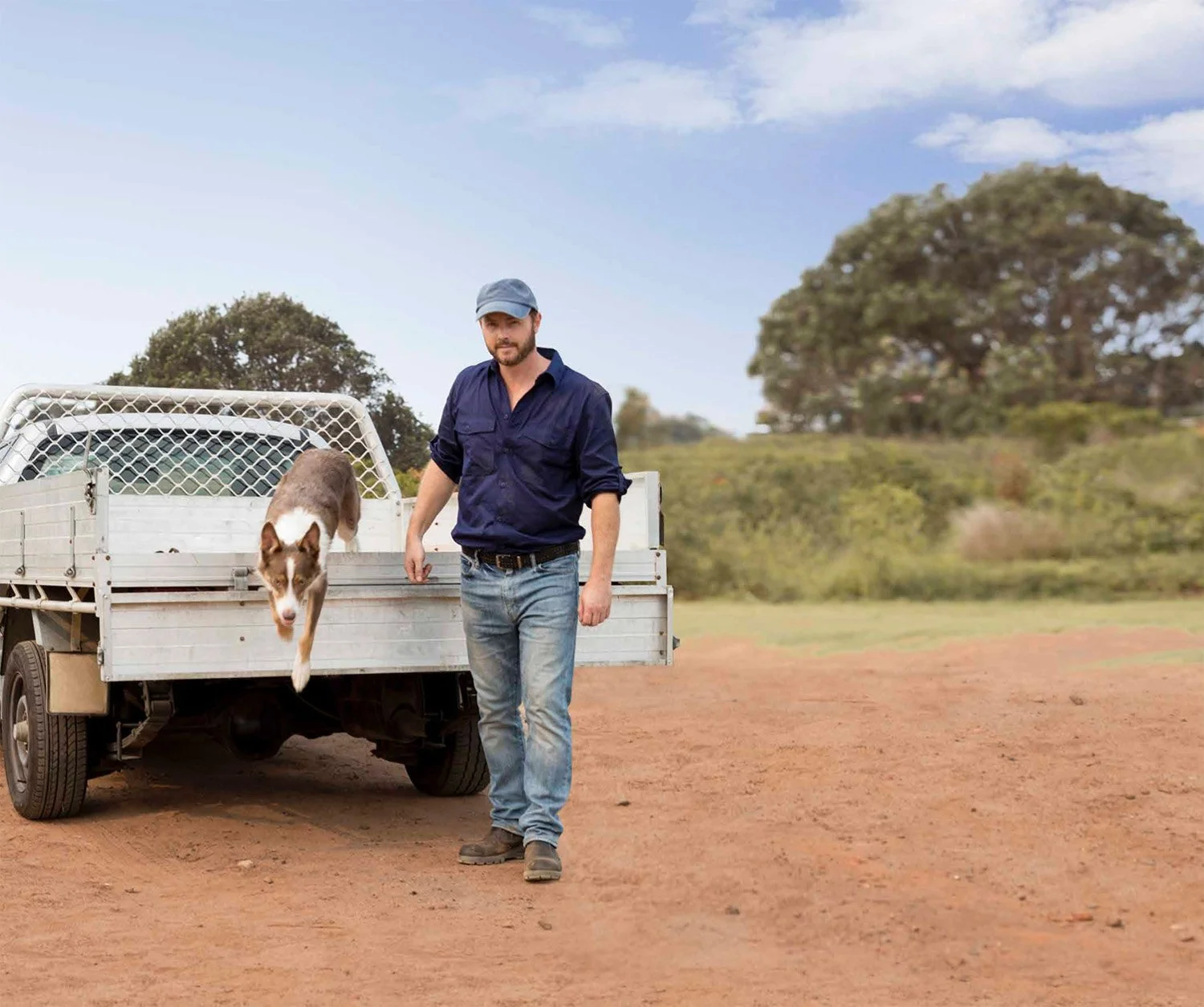 Screen Shot 2022-08-12 at 11.45.25 am.jpg