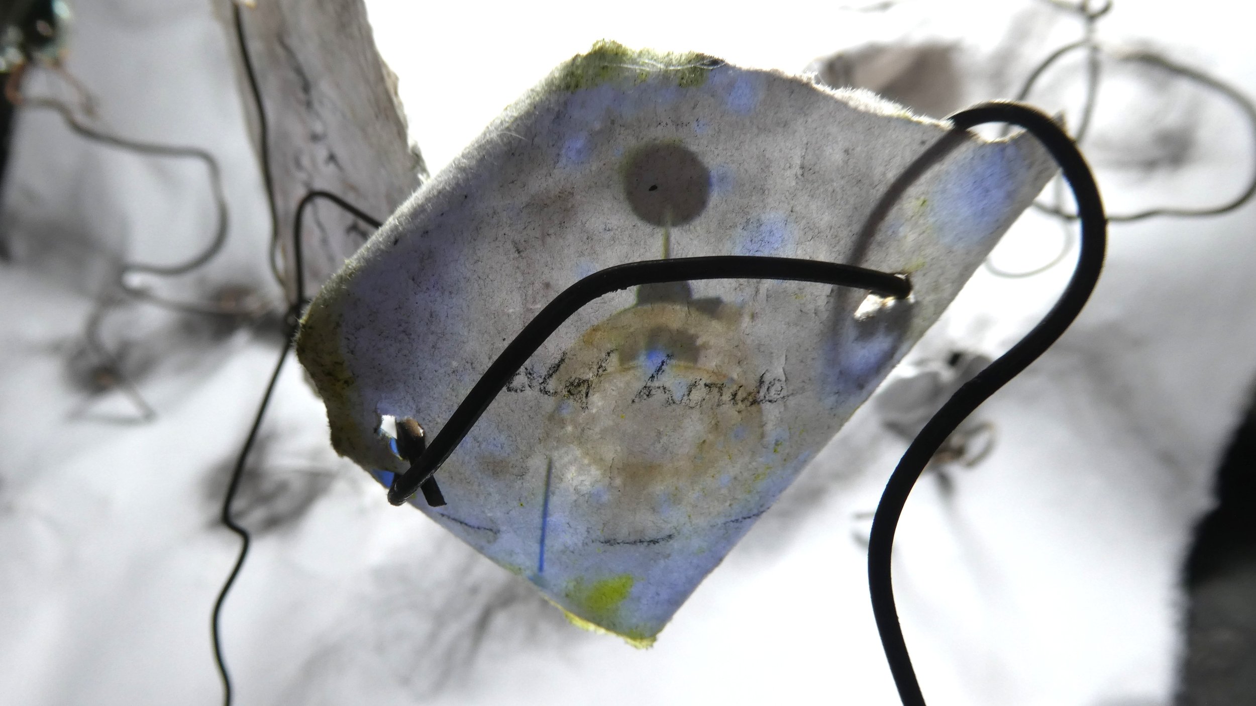 WORKS + WORDS BIENNALE 2026