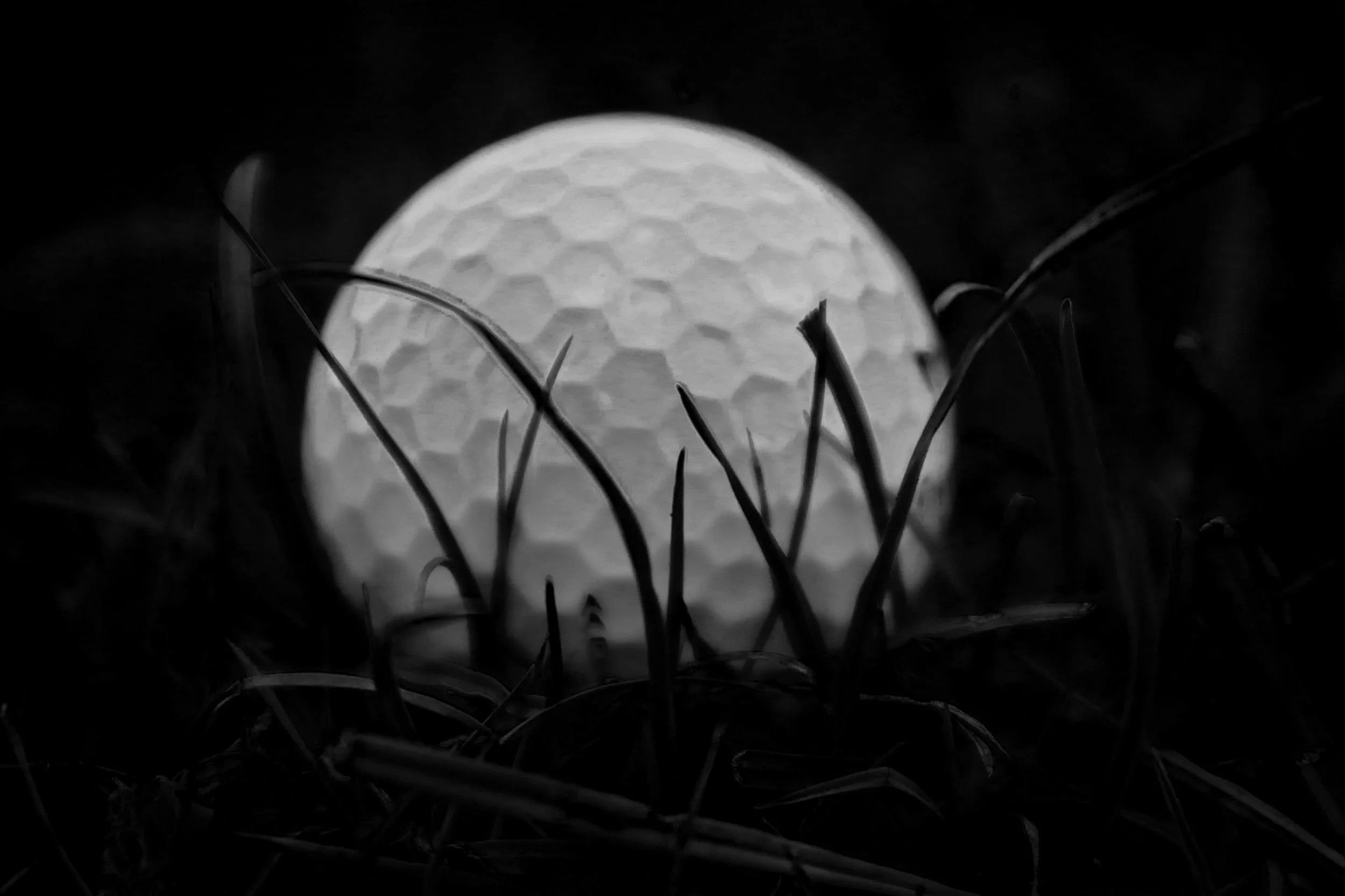 IMG_4329.JPG