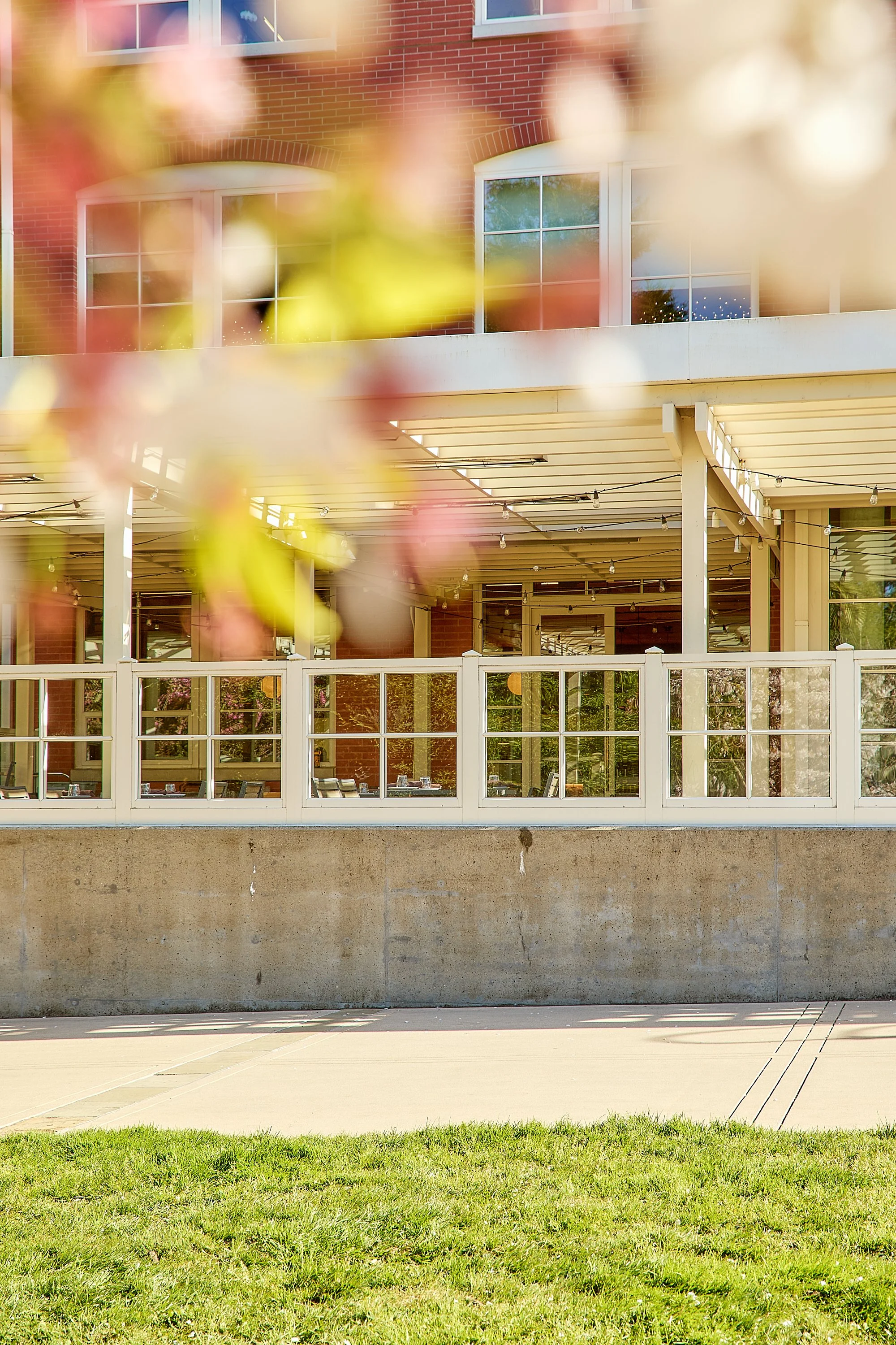 Exterior view of a multi-story building with large windows, seen through blurred pink and yellow flowers in the foreground. The building has brick walls and an outdoor patio area with string lights and chairs.