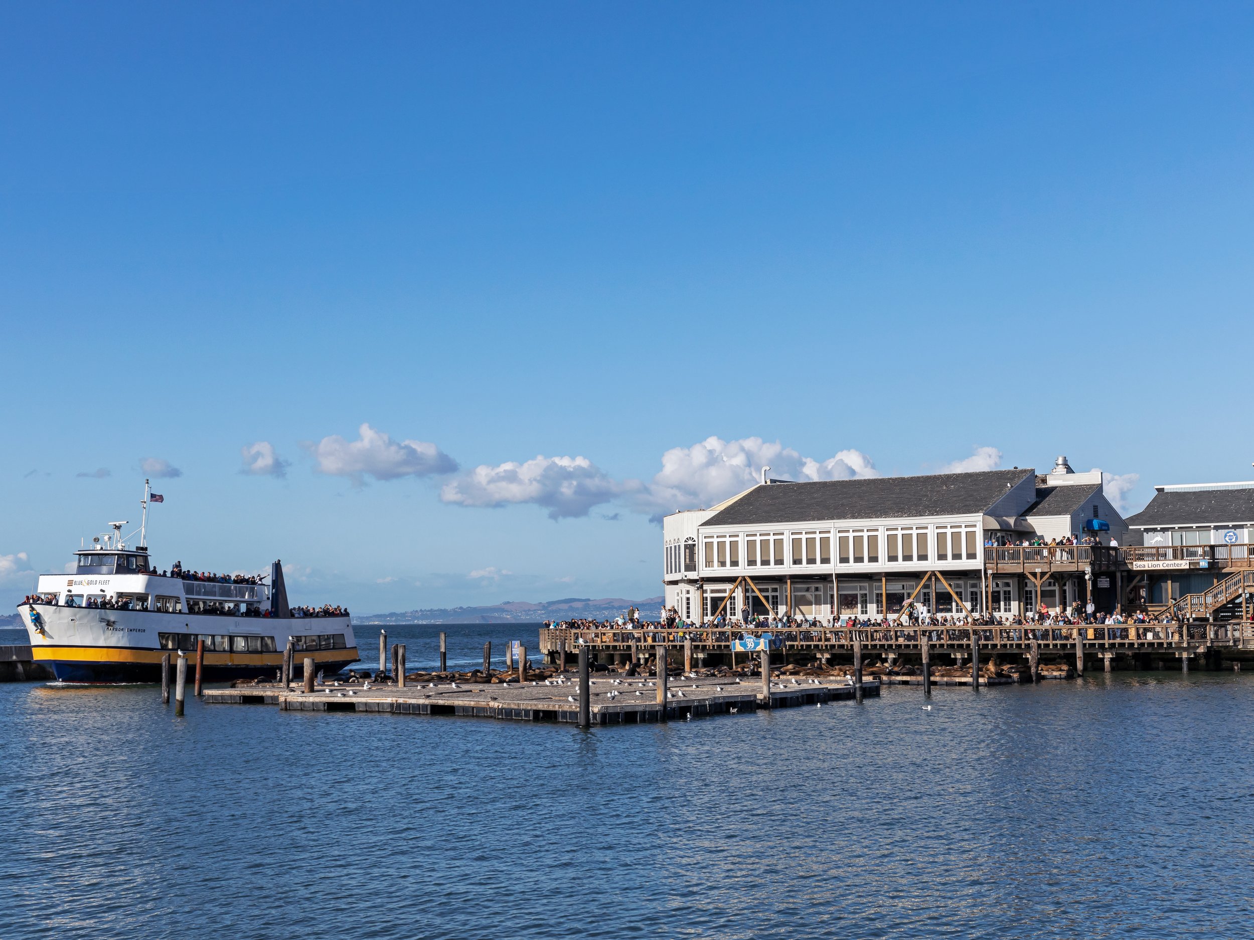tripsavvy_pier39_sf2.jpg