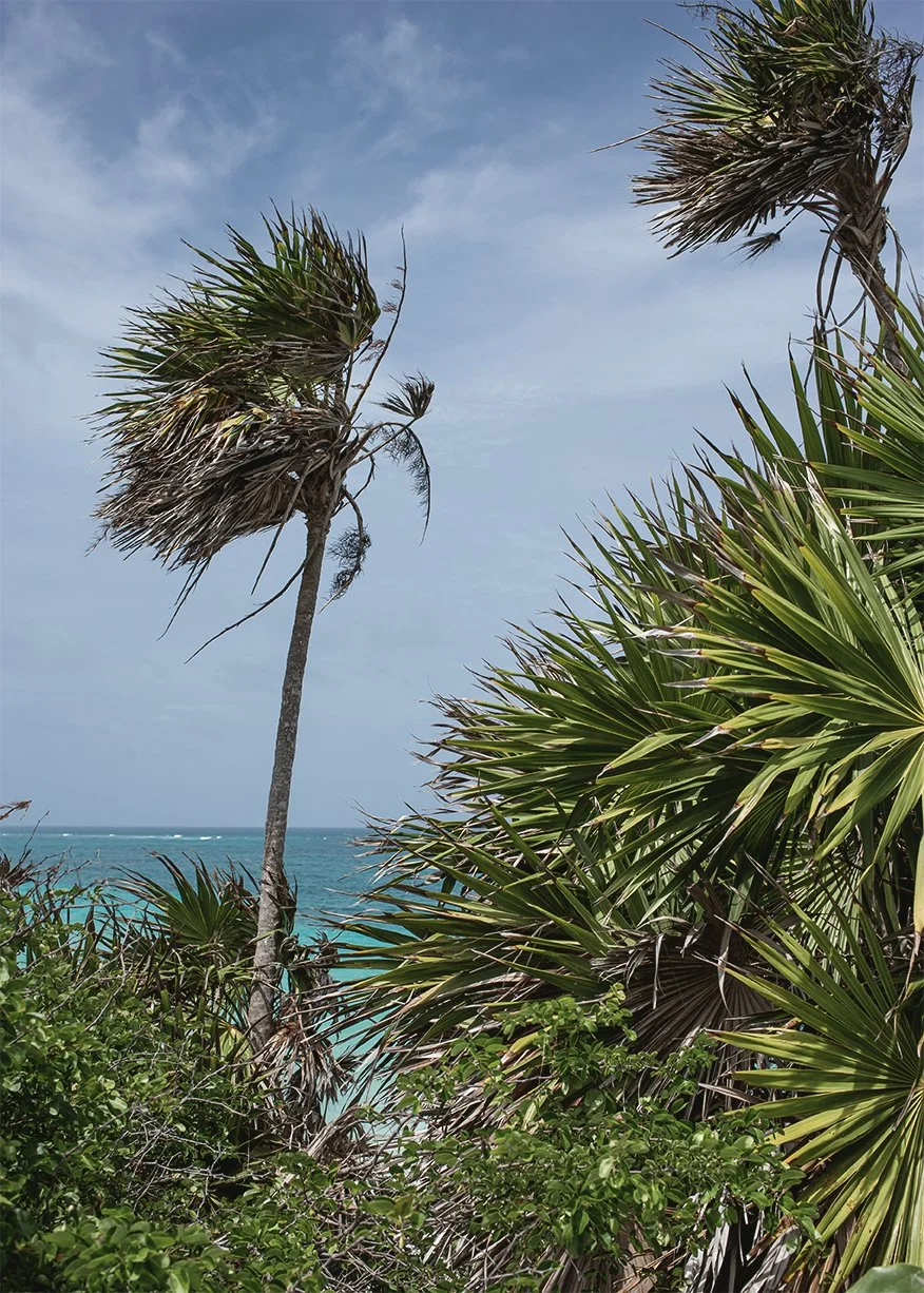 2017_tulum_28 copy.jpg