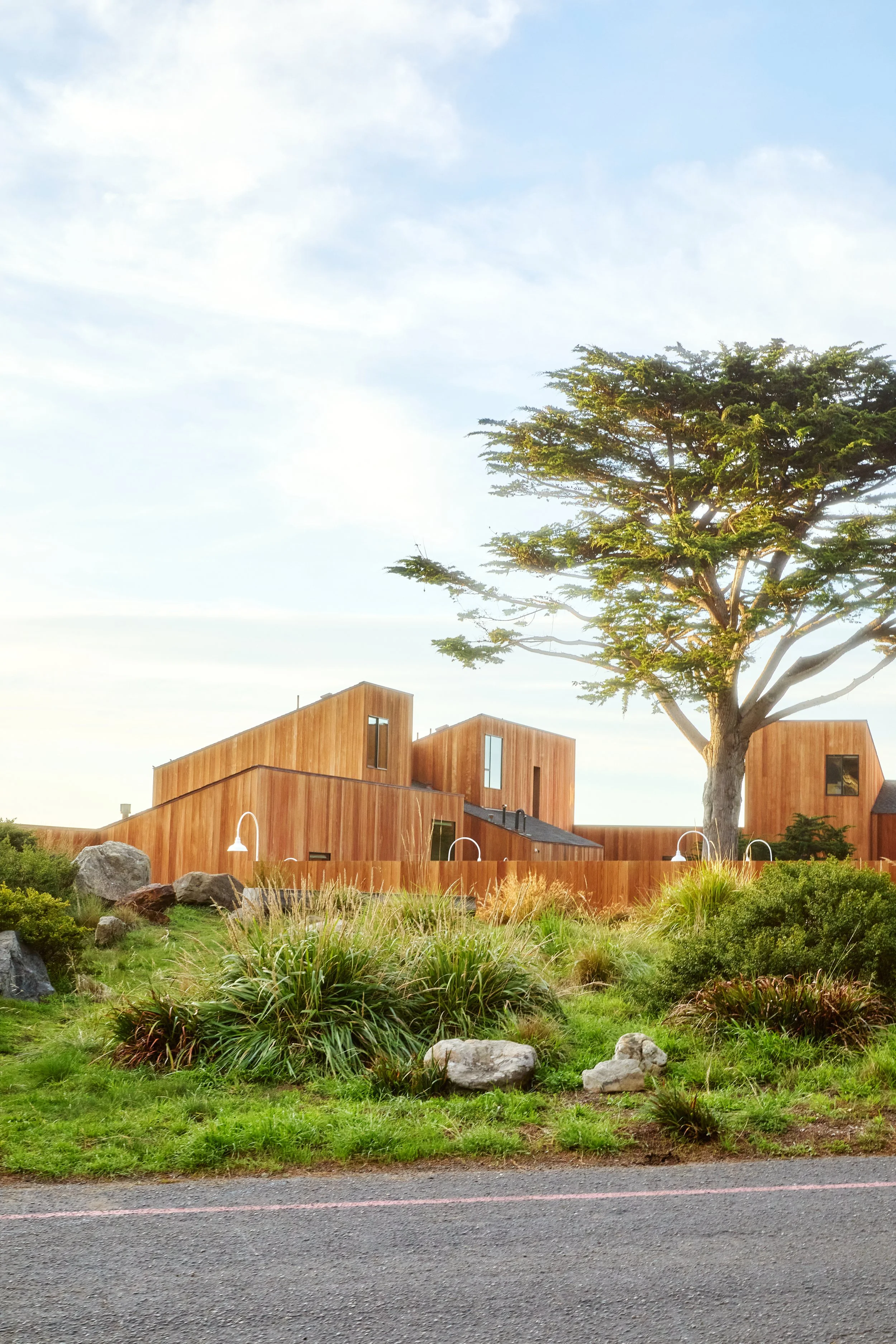 Modern wooden house with large trees and shrubbery in front, near the road.