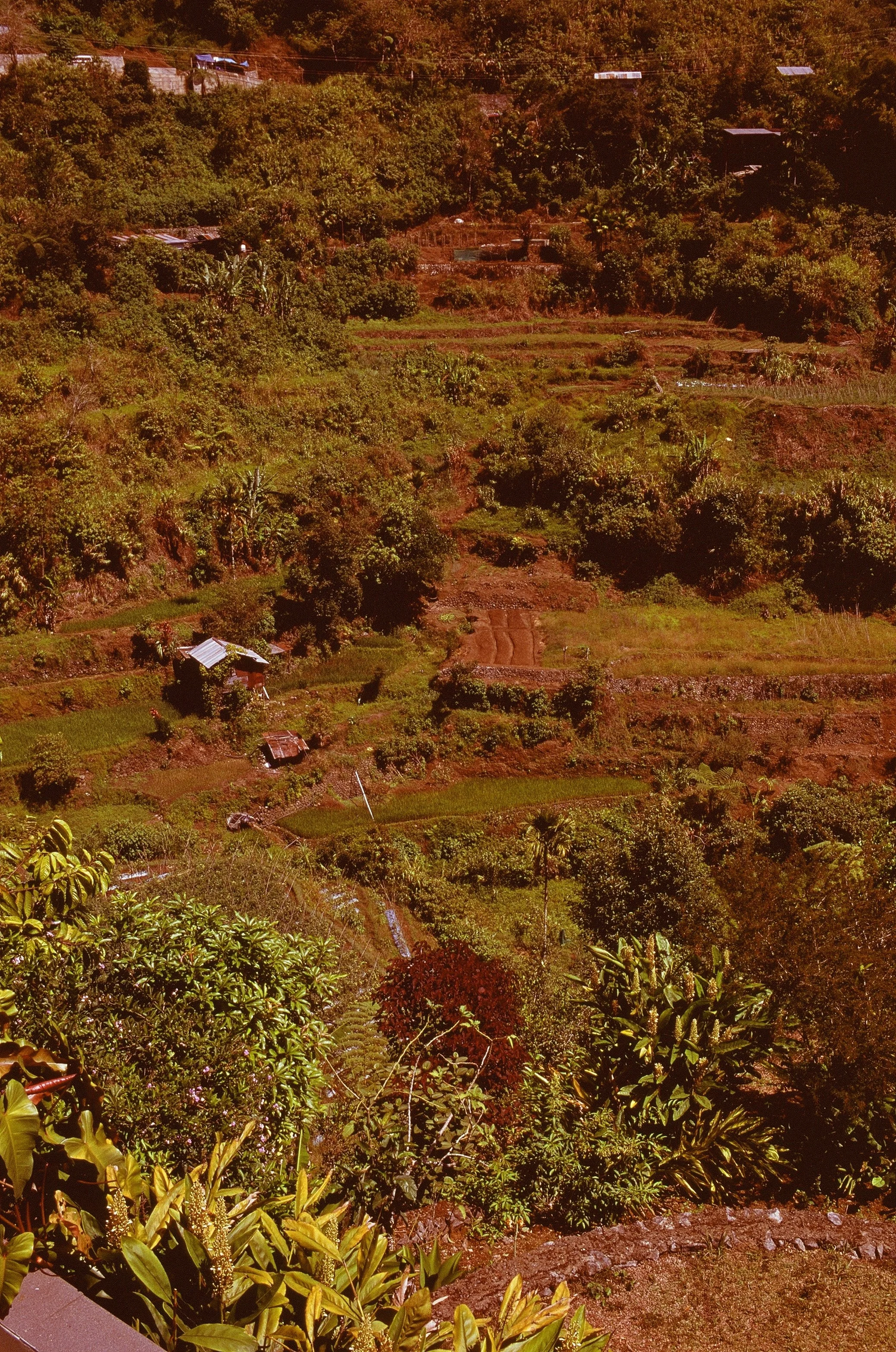 Melissa-Zink-Phillipines-on-Film 45.jpg