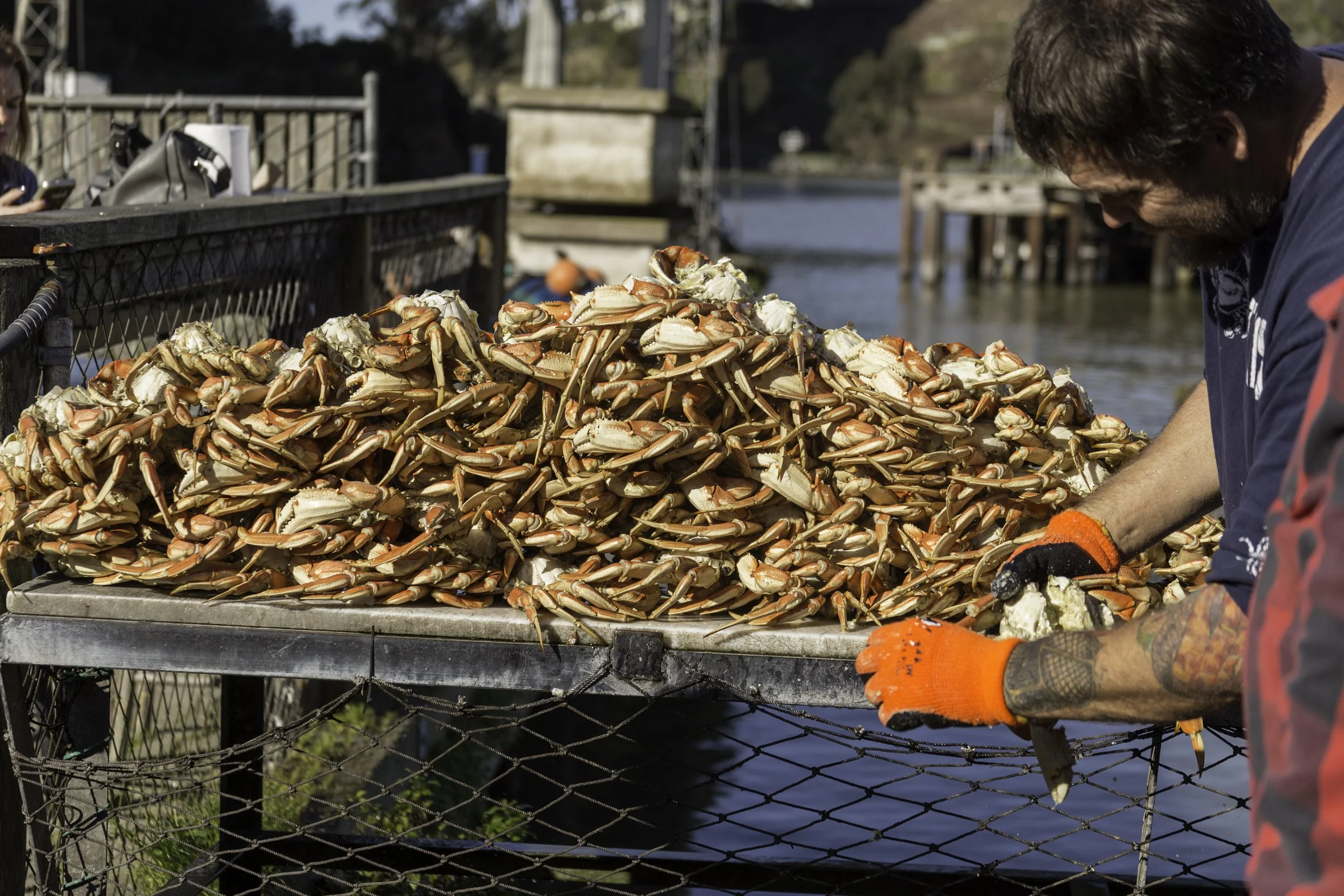 crab_shack_13.jpg