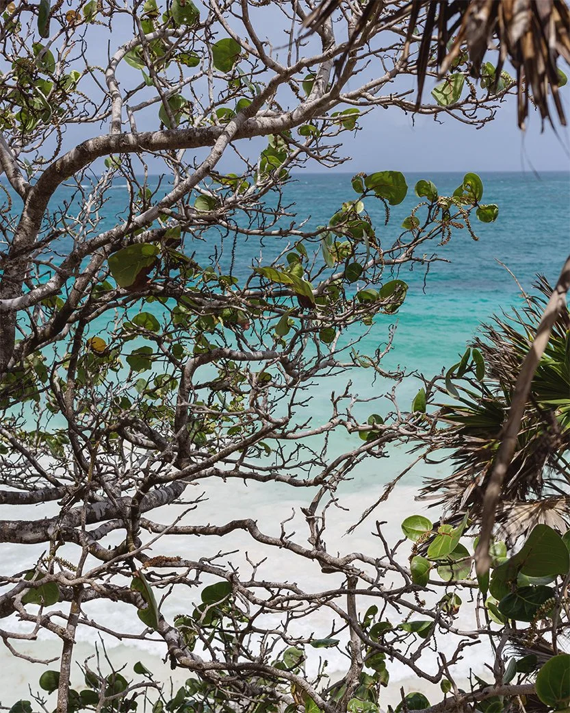 2017_tulum_54.jpg