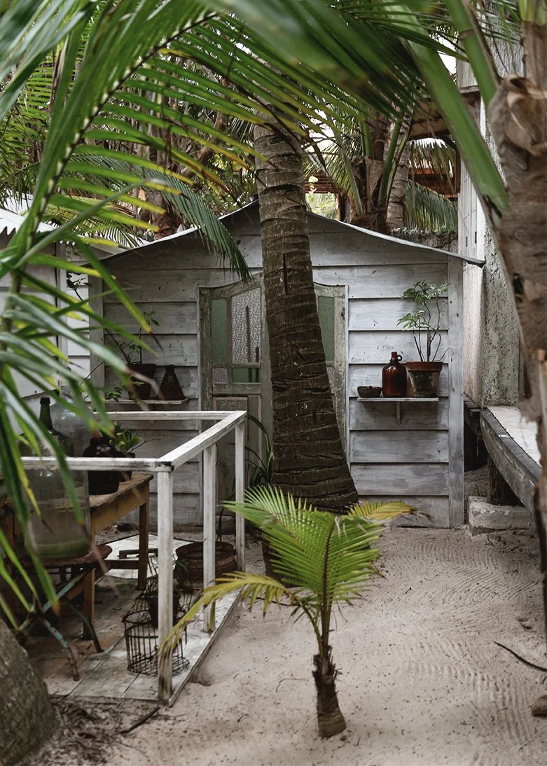 2017_tulum_16 copy.jpg