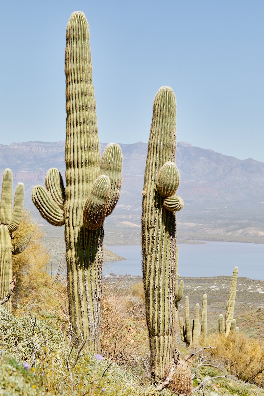 MelissaZink-Travel-Arizona02.jpg