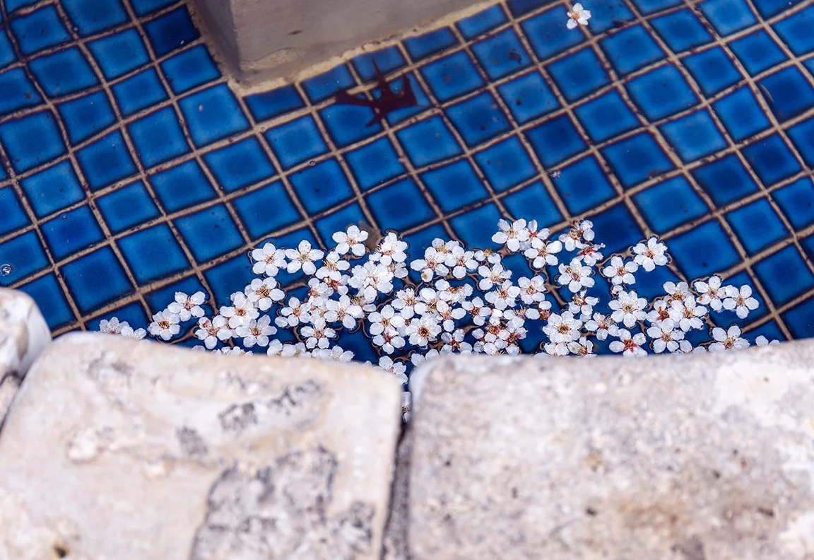 blossoms_fountain_tiles.jpg