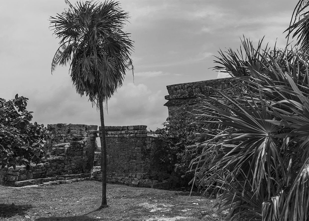 2017_tulum_4.jpg