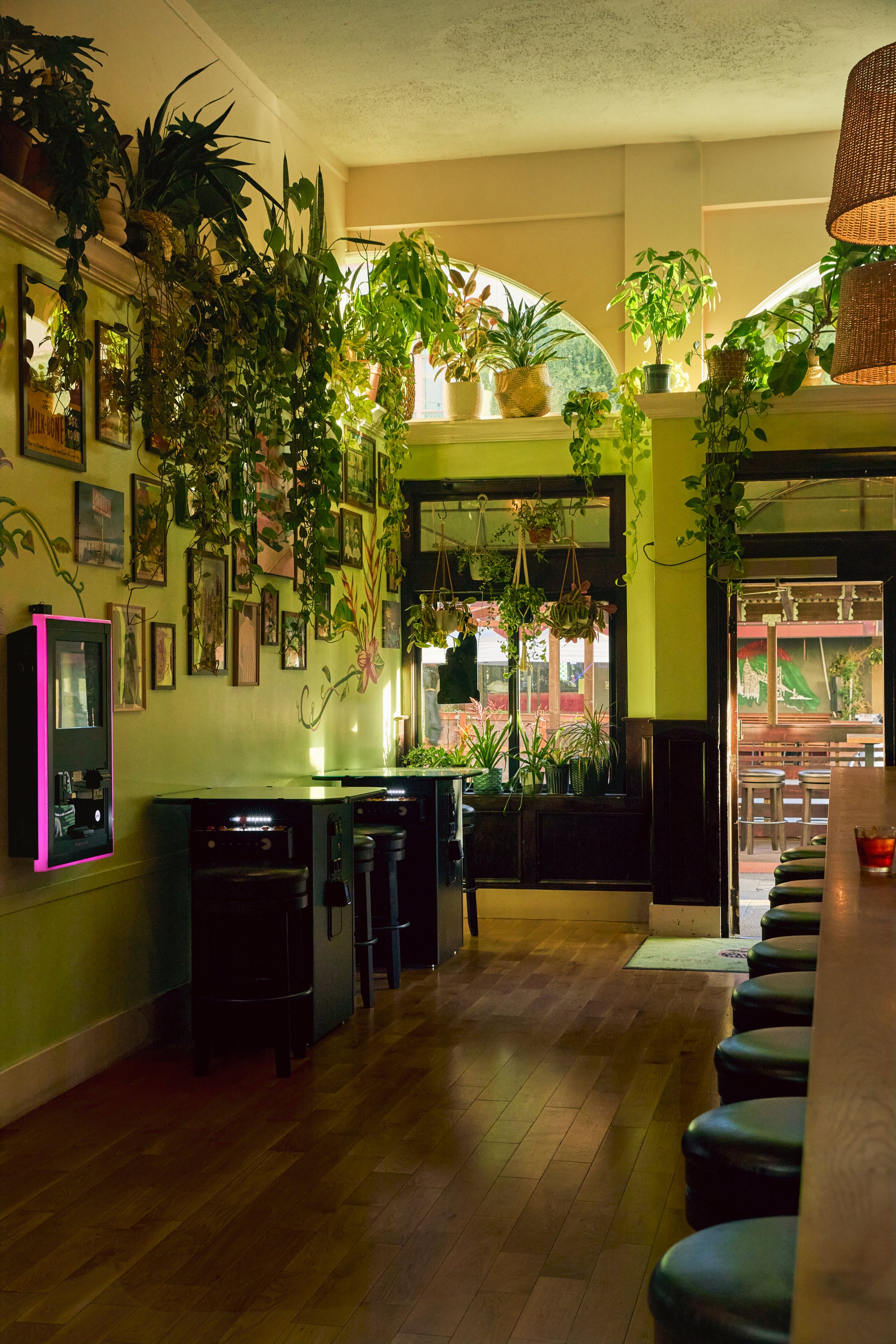 Interior of a cozy café with wooden flooring, green walls decorated with framed pictures, numerous potted plants on shelves and windowsills, a bar counter with bar stools, and an outdoor patio visible through the open doorway.