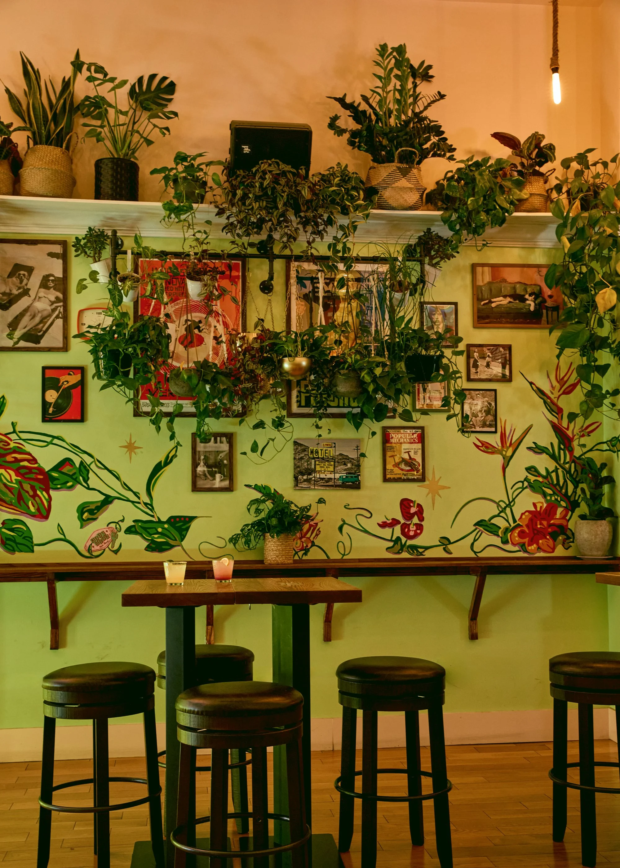 Interior of a cozy cafe with a green wall decorated with framed photos, art, and many hanging and potted plants, and a small table with four stools in front.