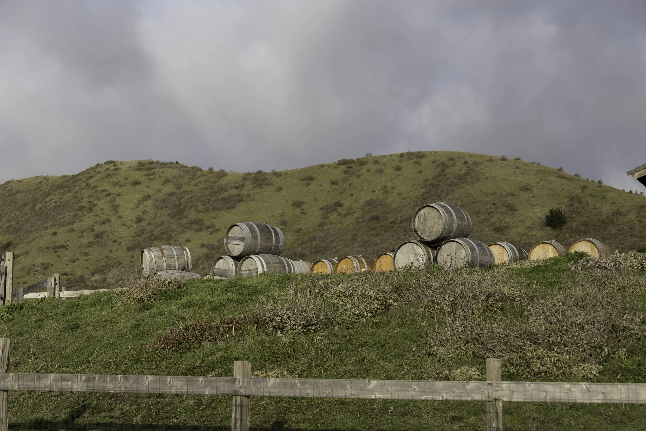sunset_barrels.jpg