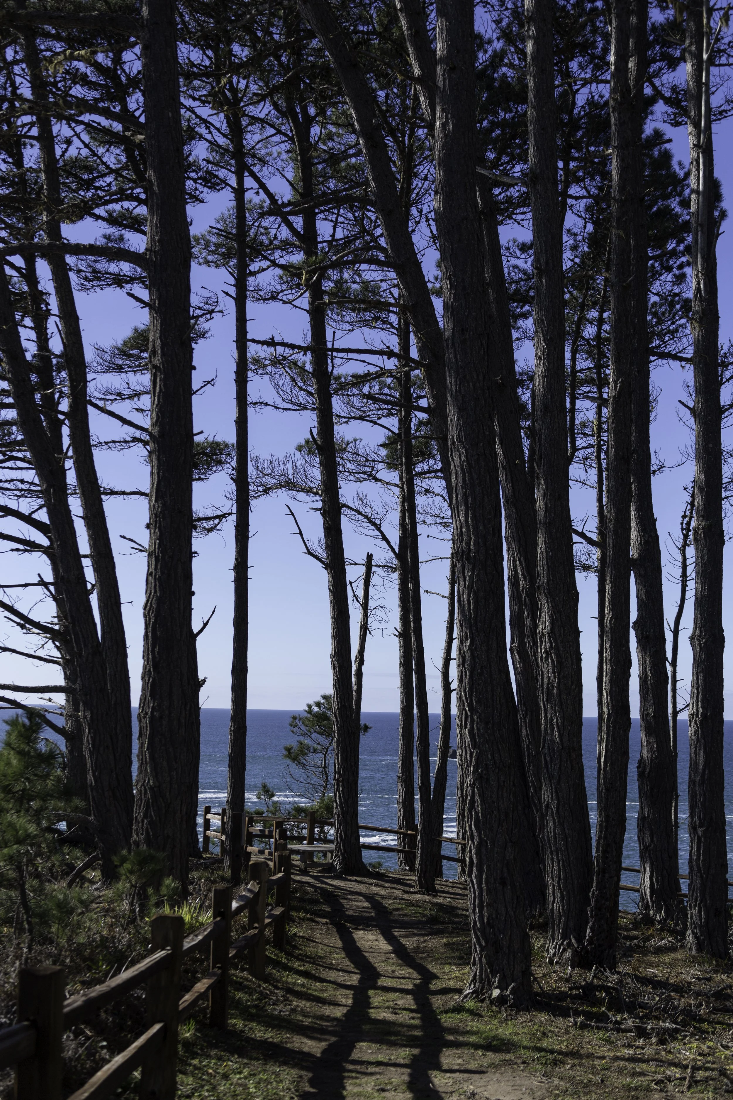 cliffside_3.jpg